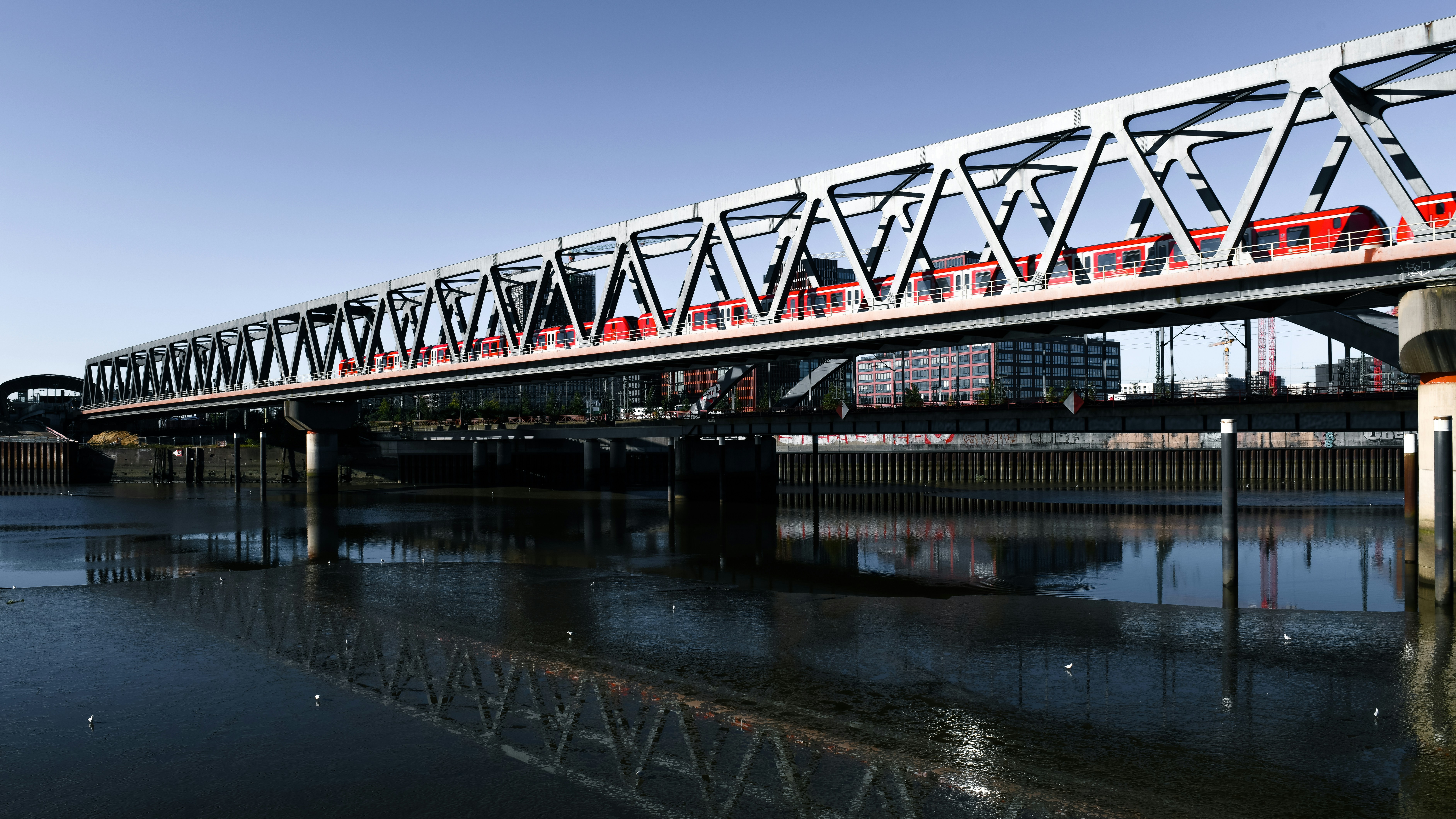 Photo by hamburgmeinefreundin