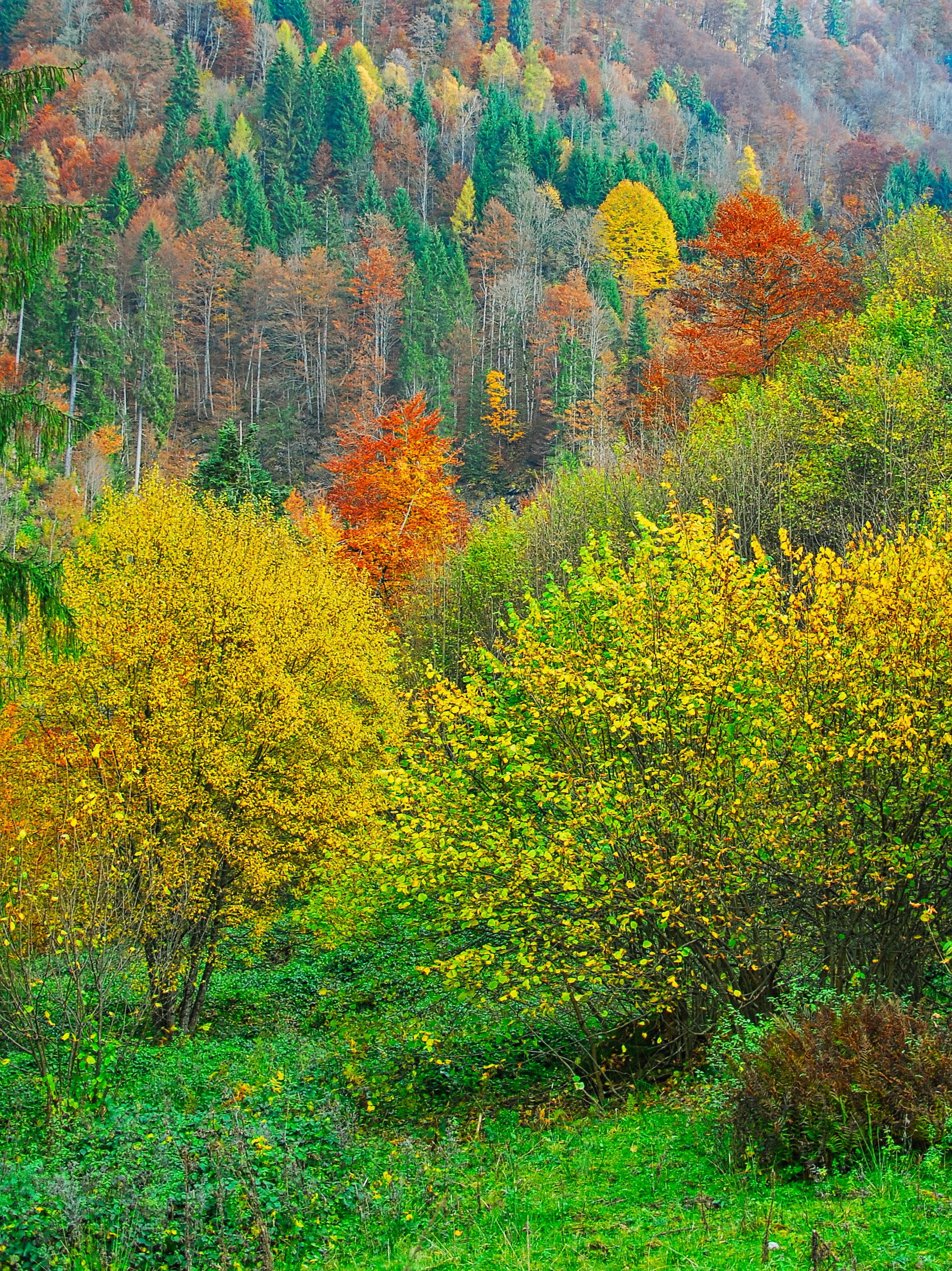 Photo by magictravel