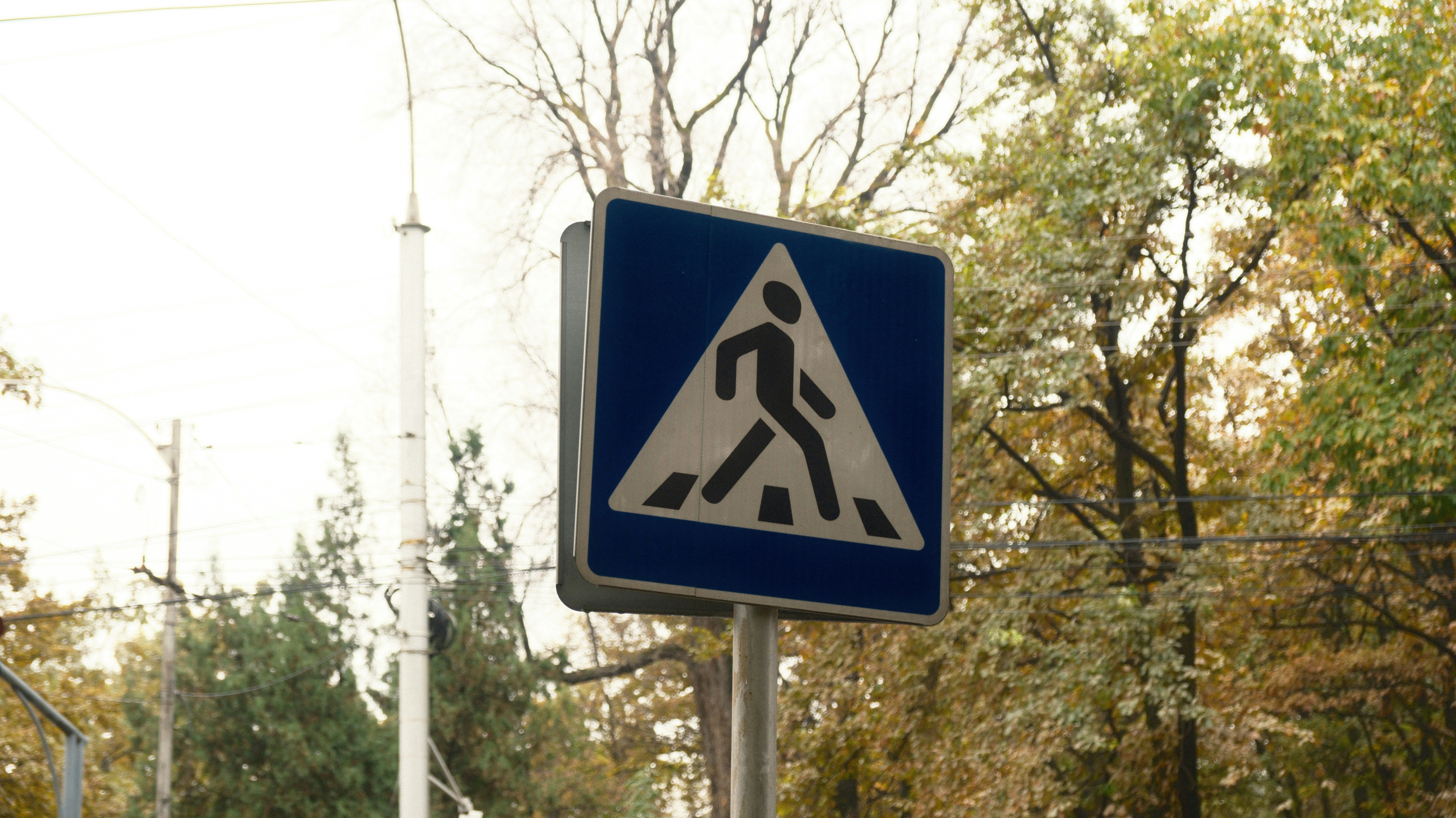 A blue and white street sign sitting on the side of a road