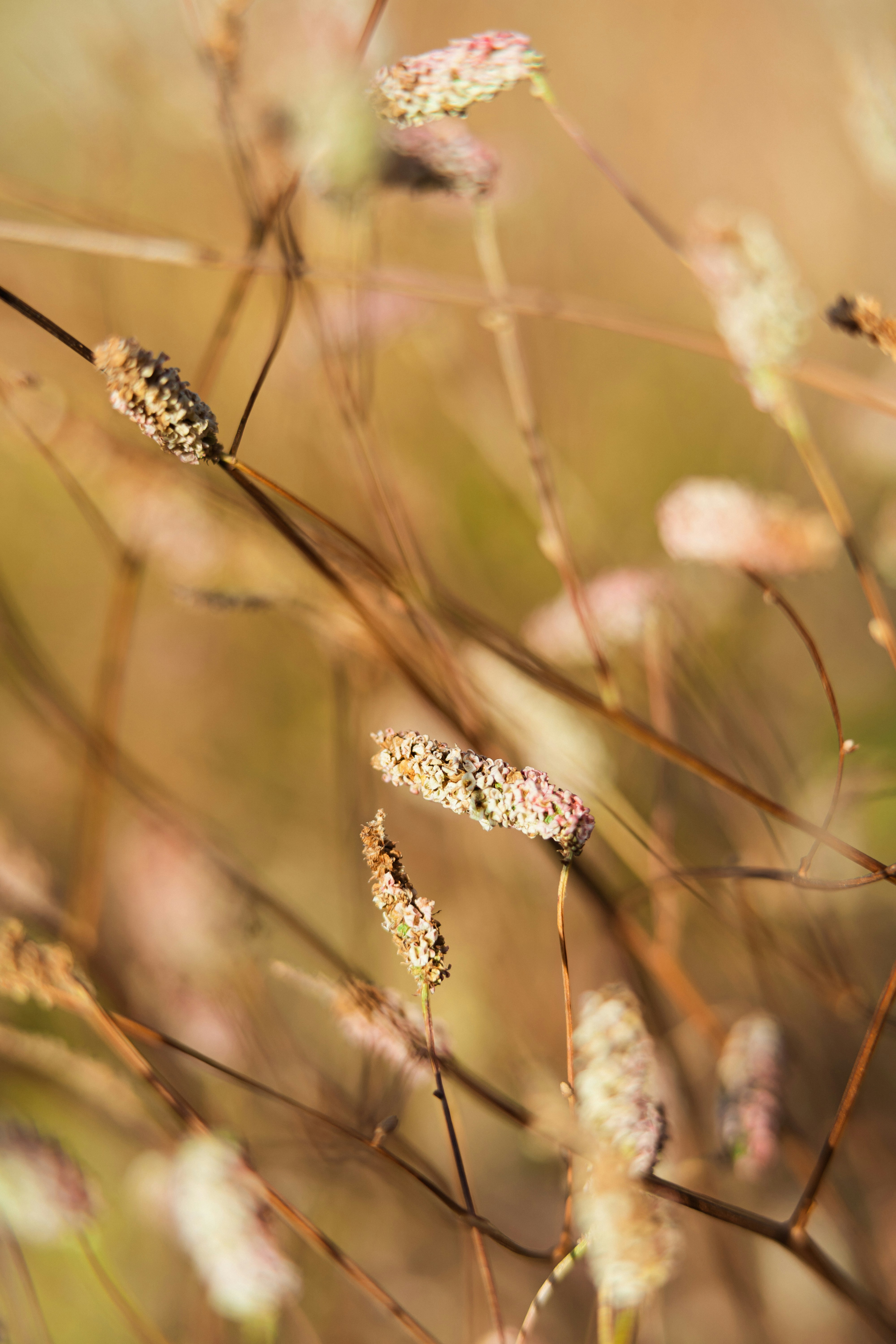 Photo by anamnesis33