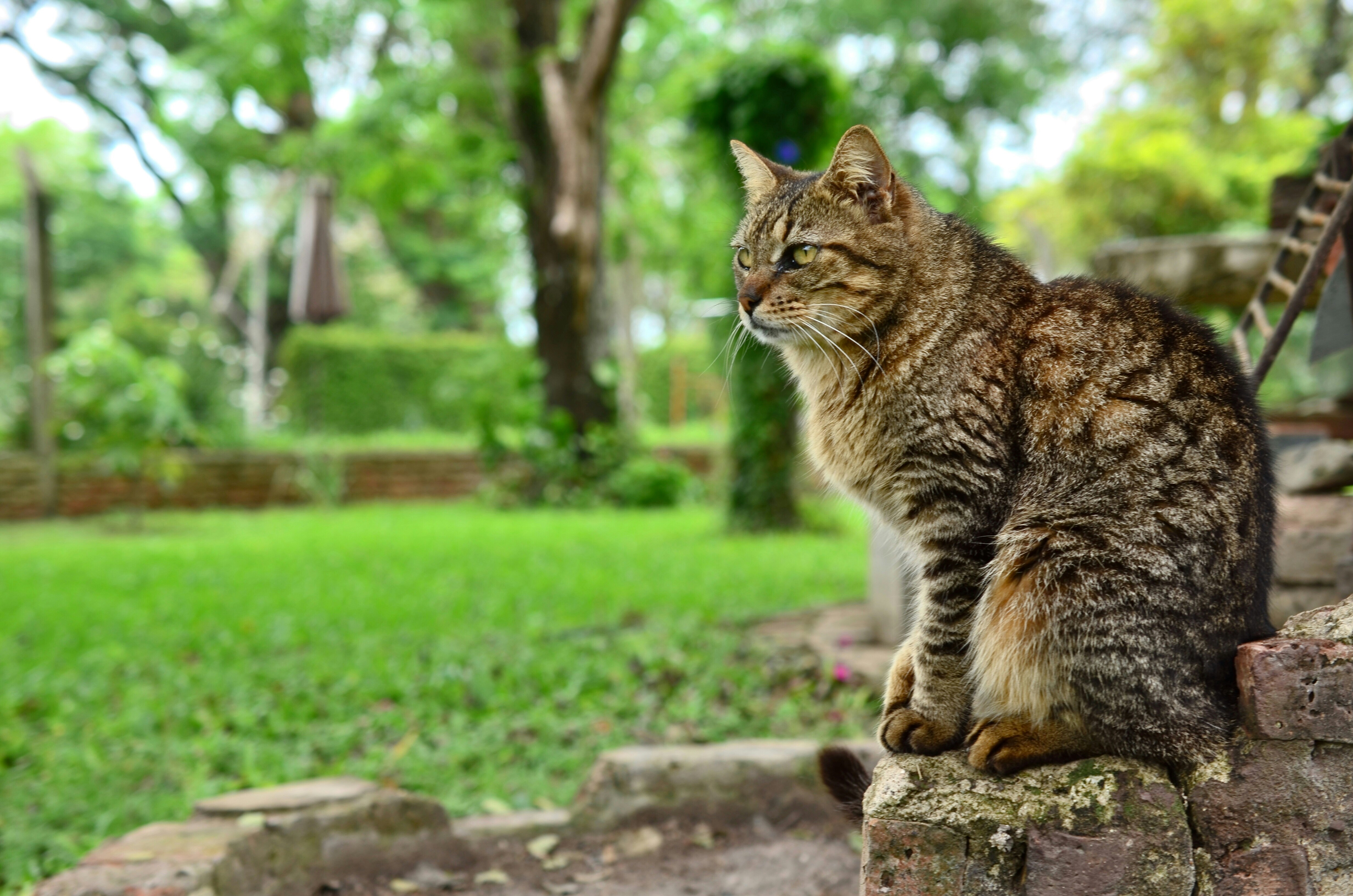 Photo by sunshinestudio82