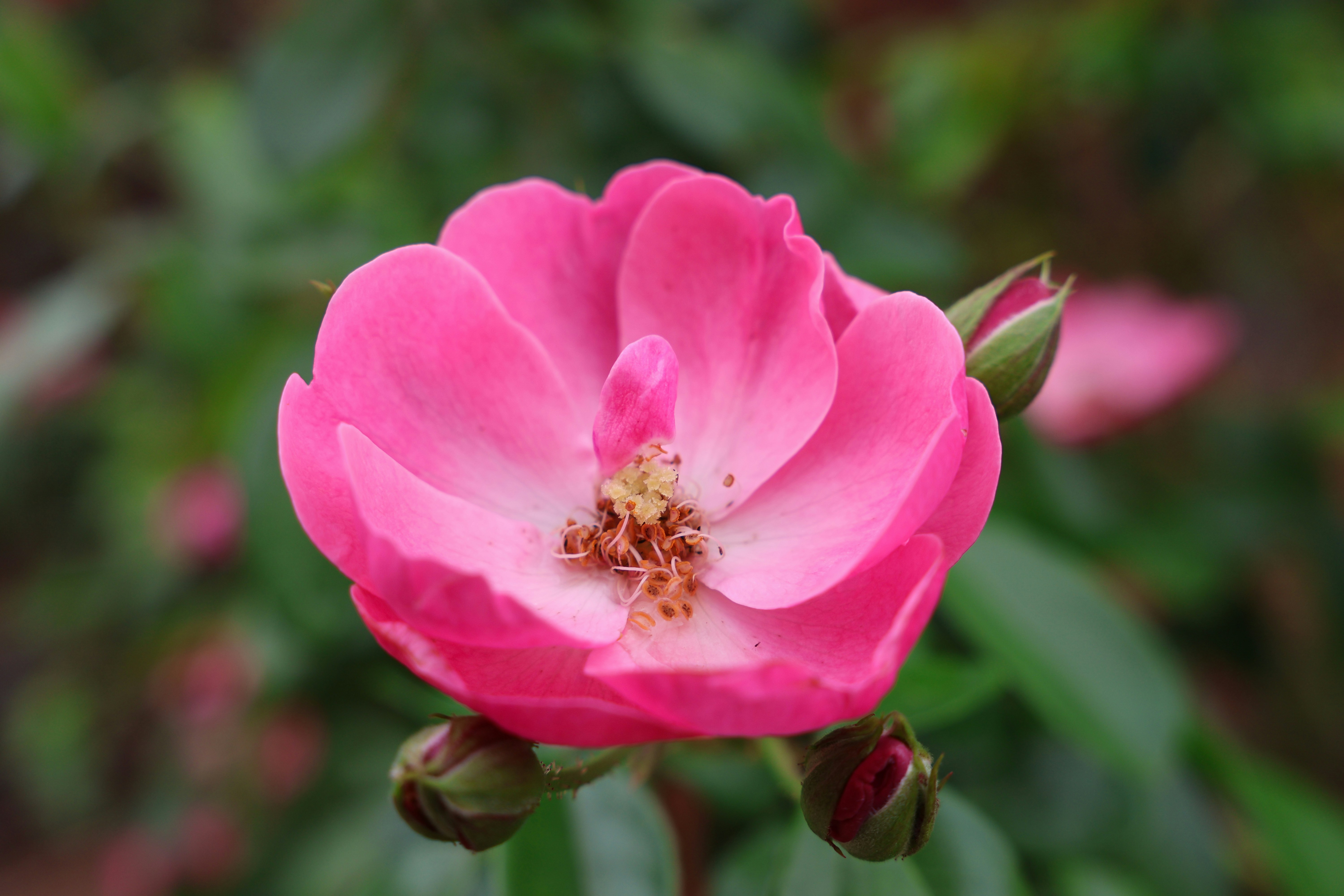 Photo by floatflower