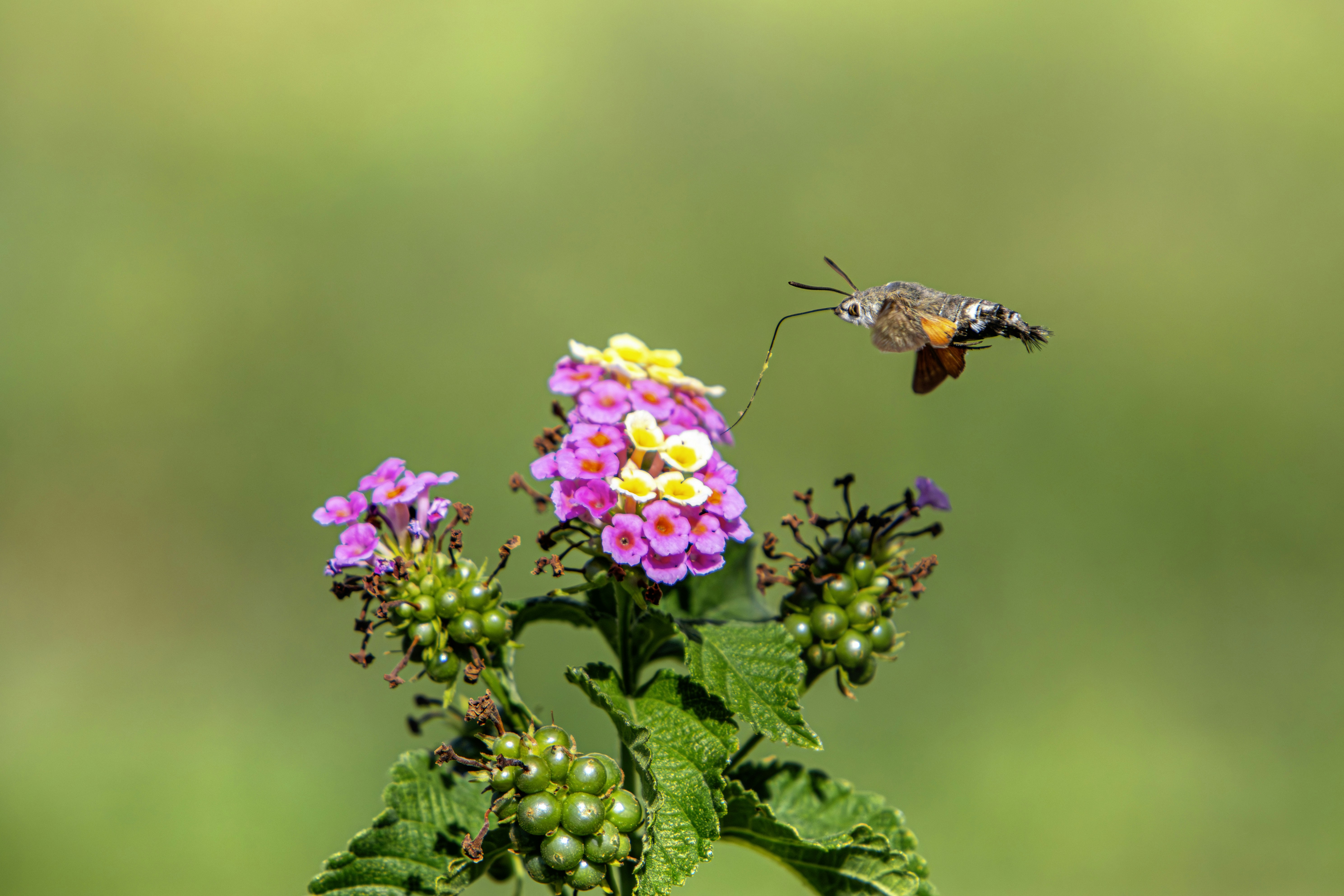 Photo by erik_karits