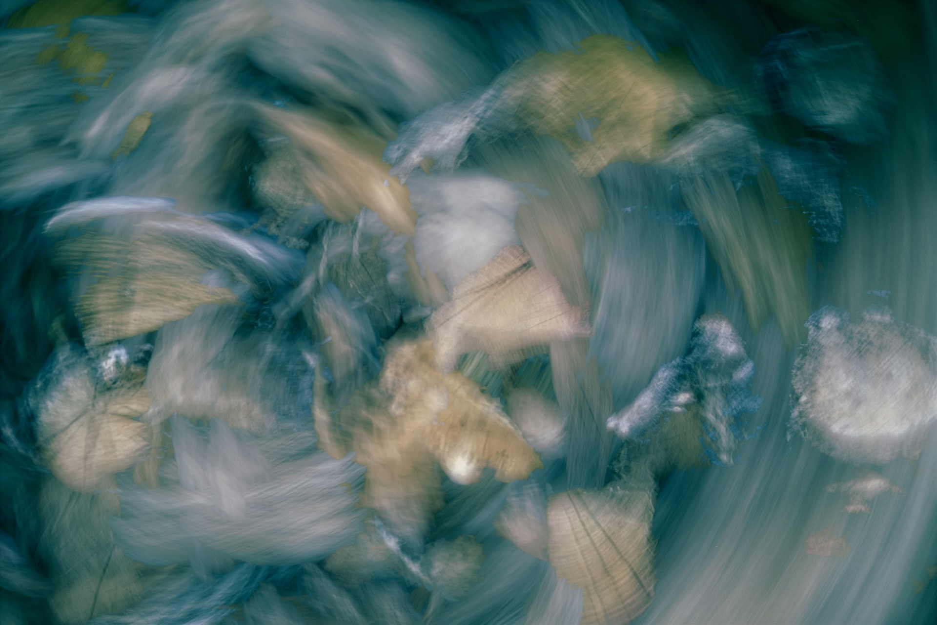 A blurry photo of a bunch of flowers