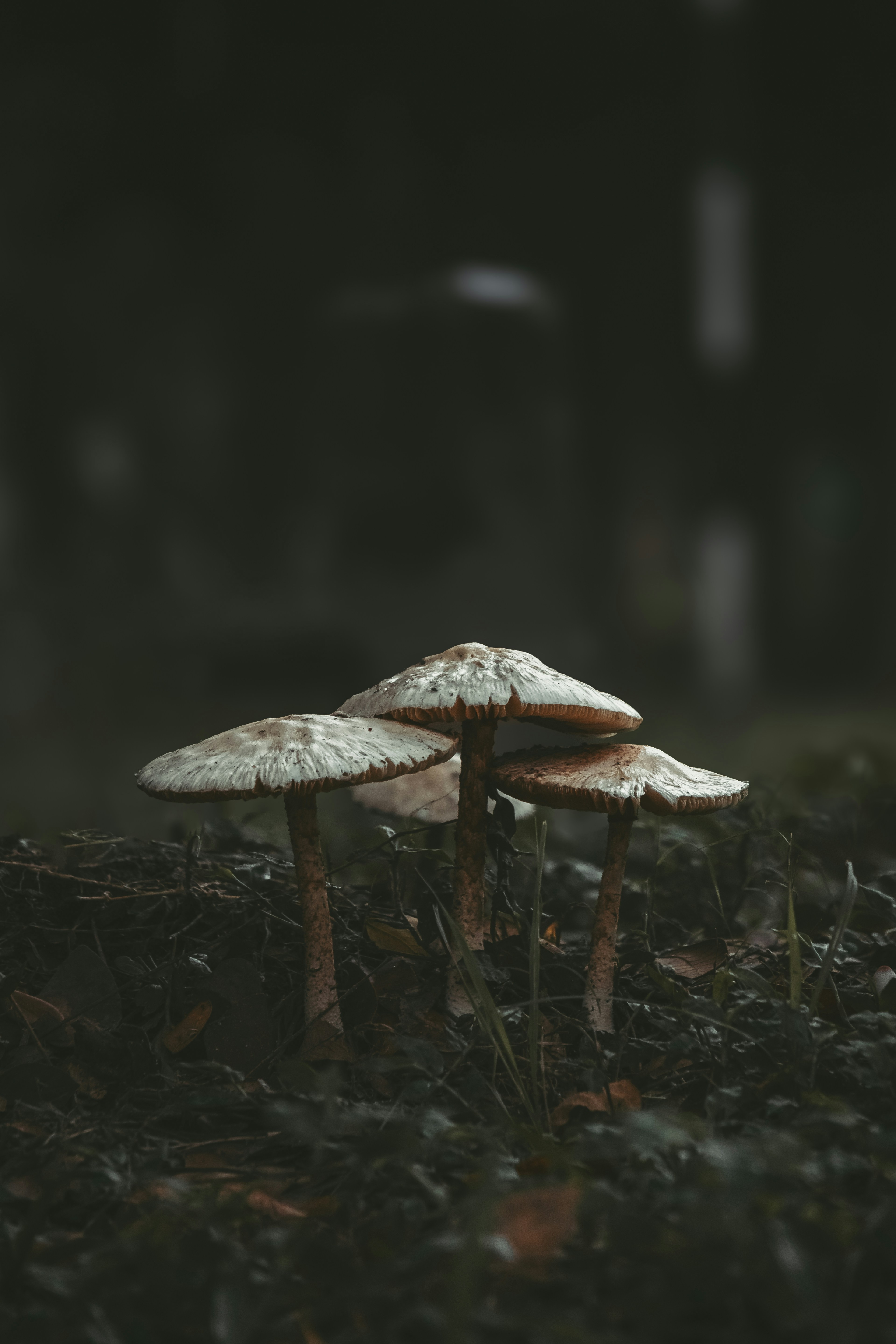 Photo by atharvad_jpeg