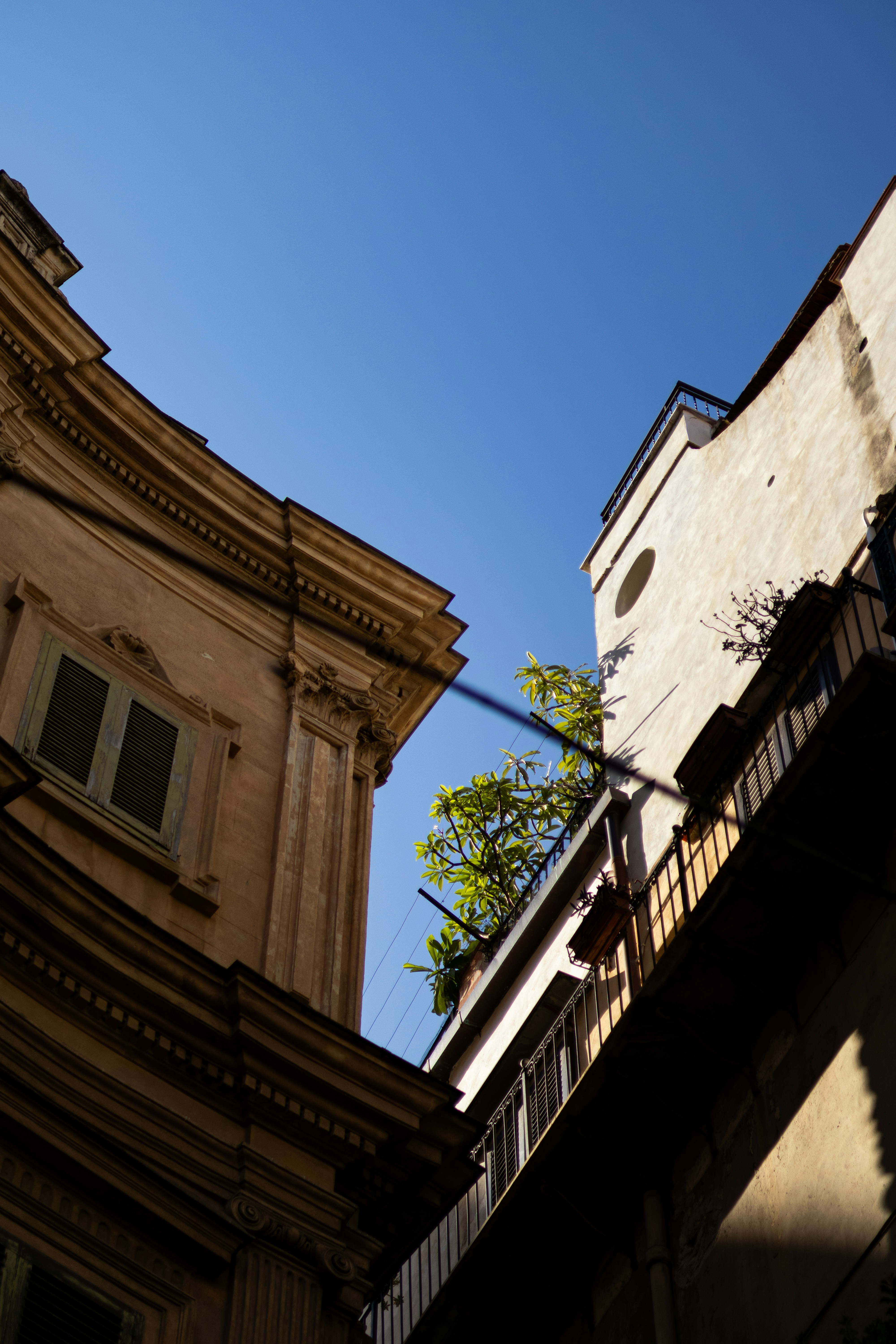 Photo by anyutakejbalo