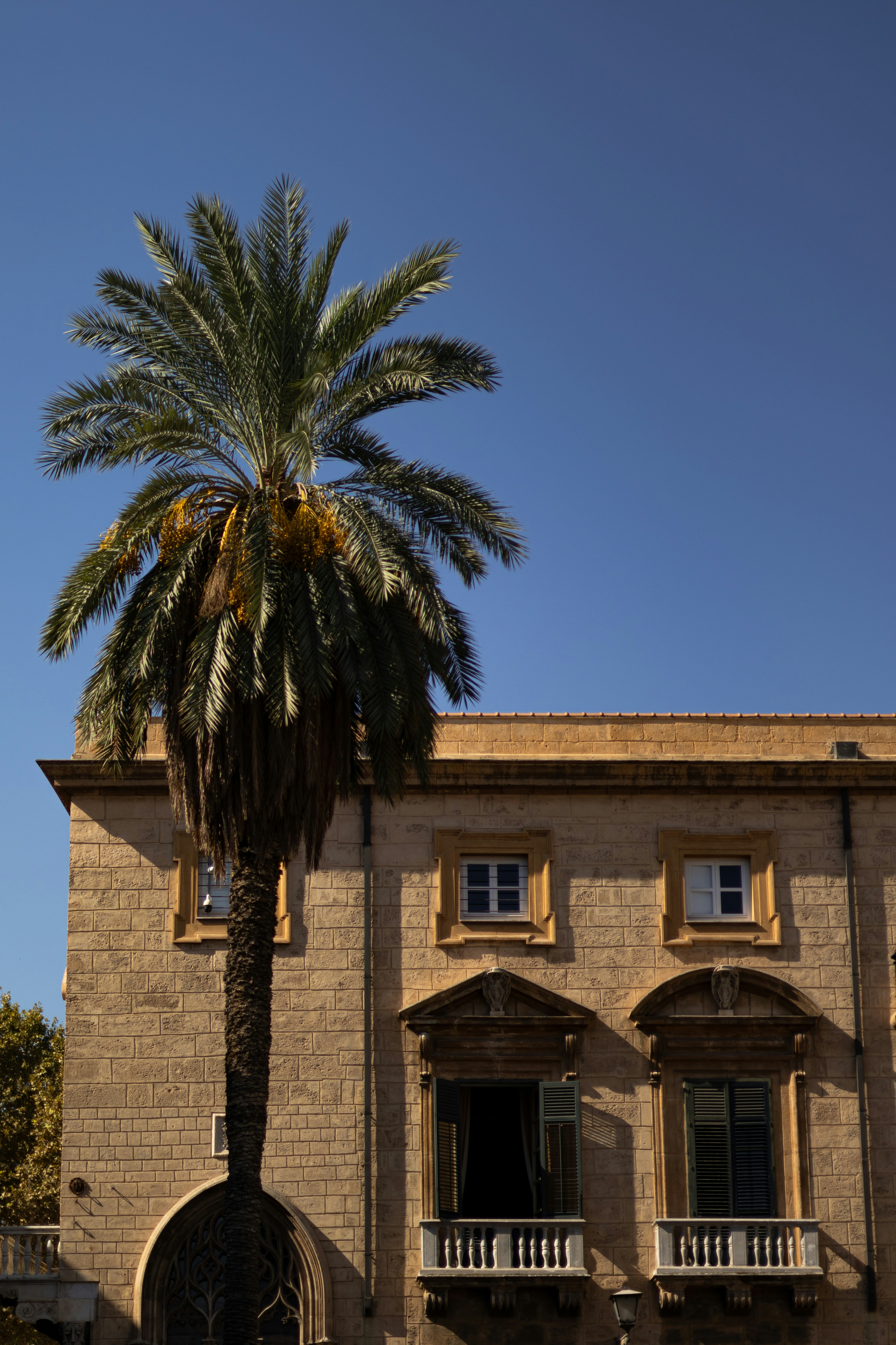 Photo by anyutakejbalo