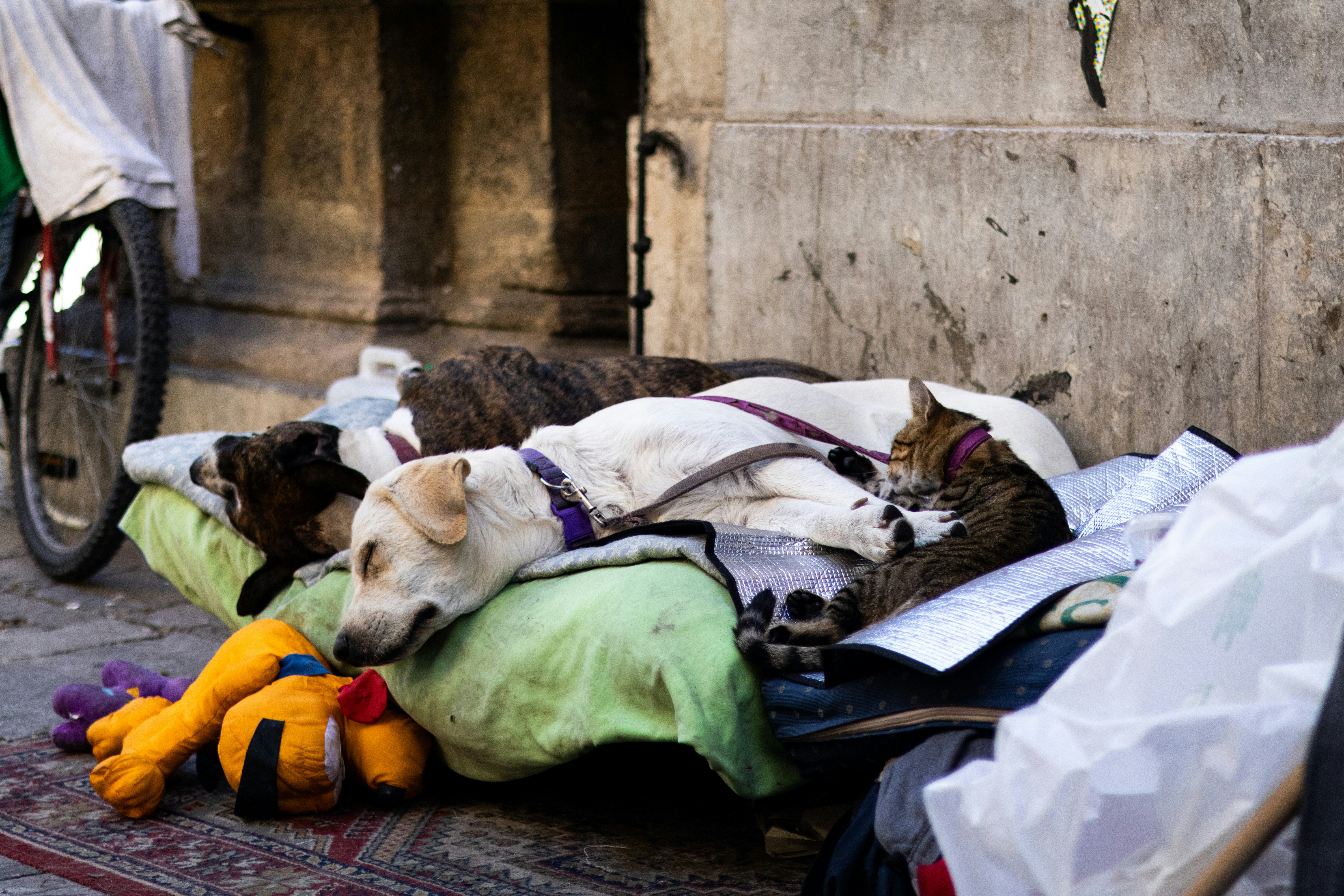 Photo by anyutakejbalo