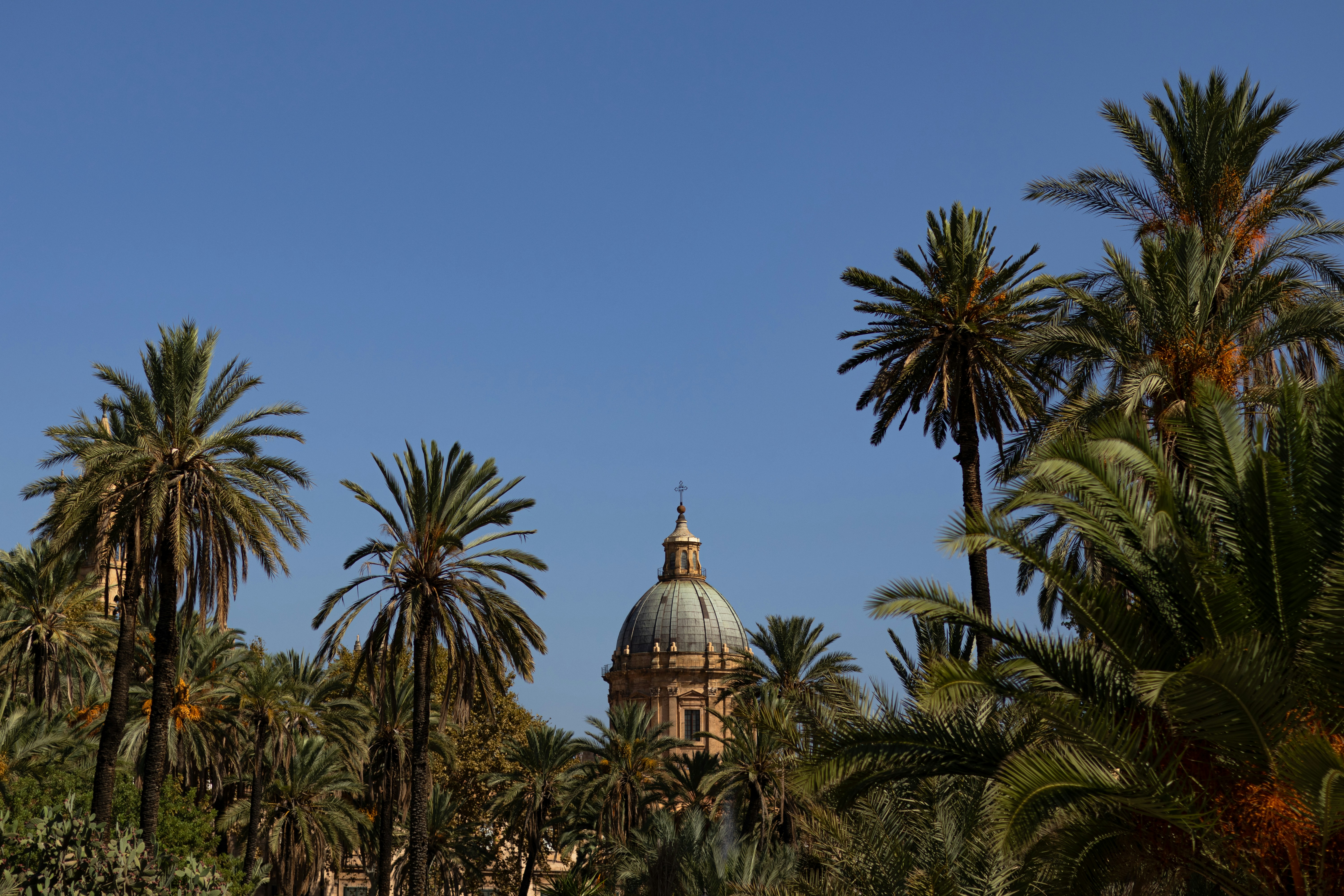 Photo by anyutakejbalo