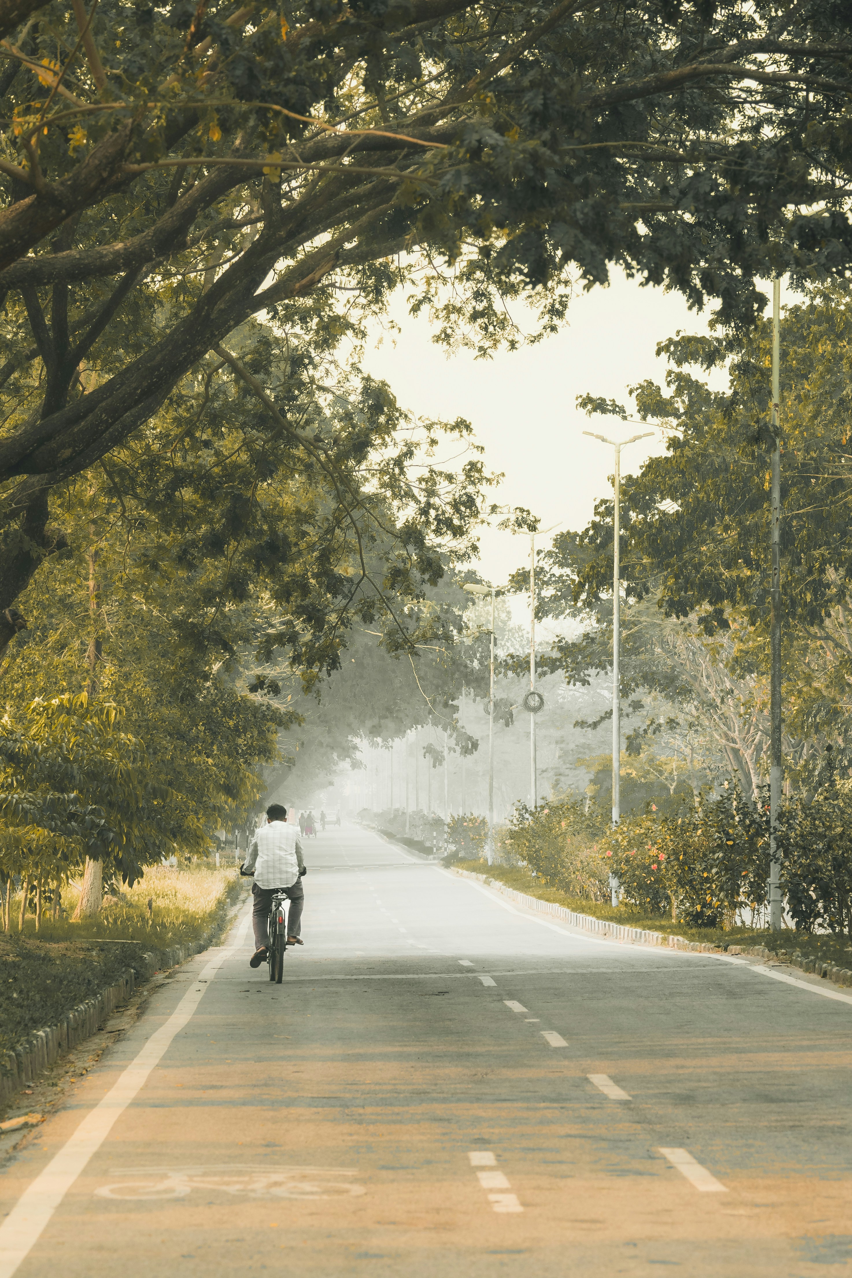 Photo by atharvad_jpeg