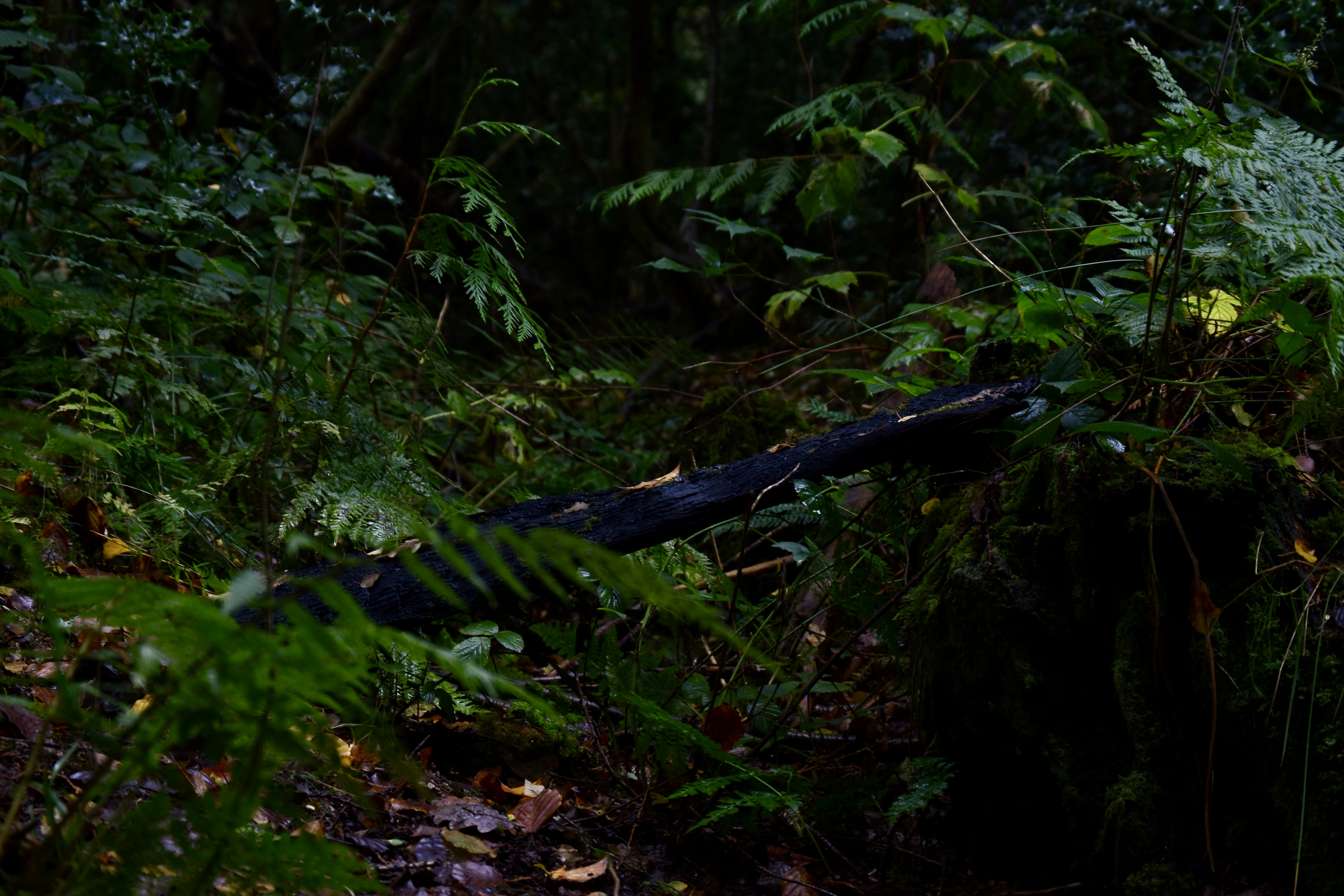 Photo by max_brindley