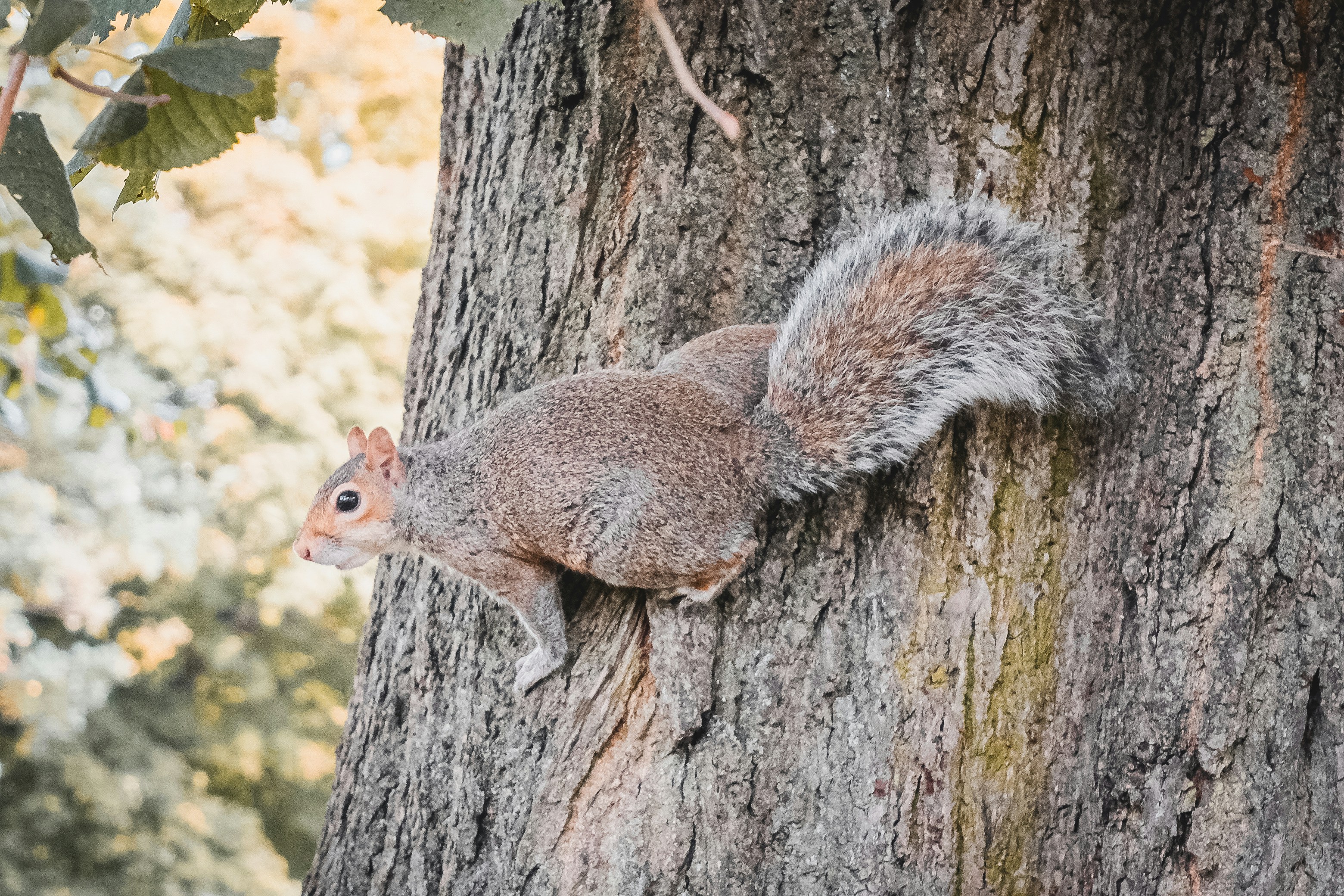 Photo by itsaroadmap