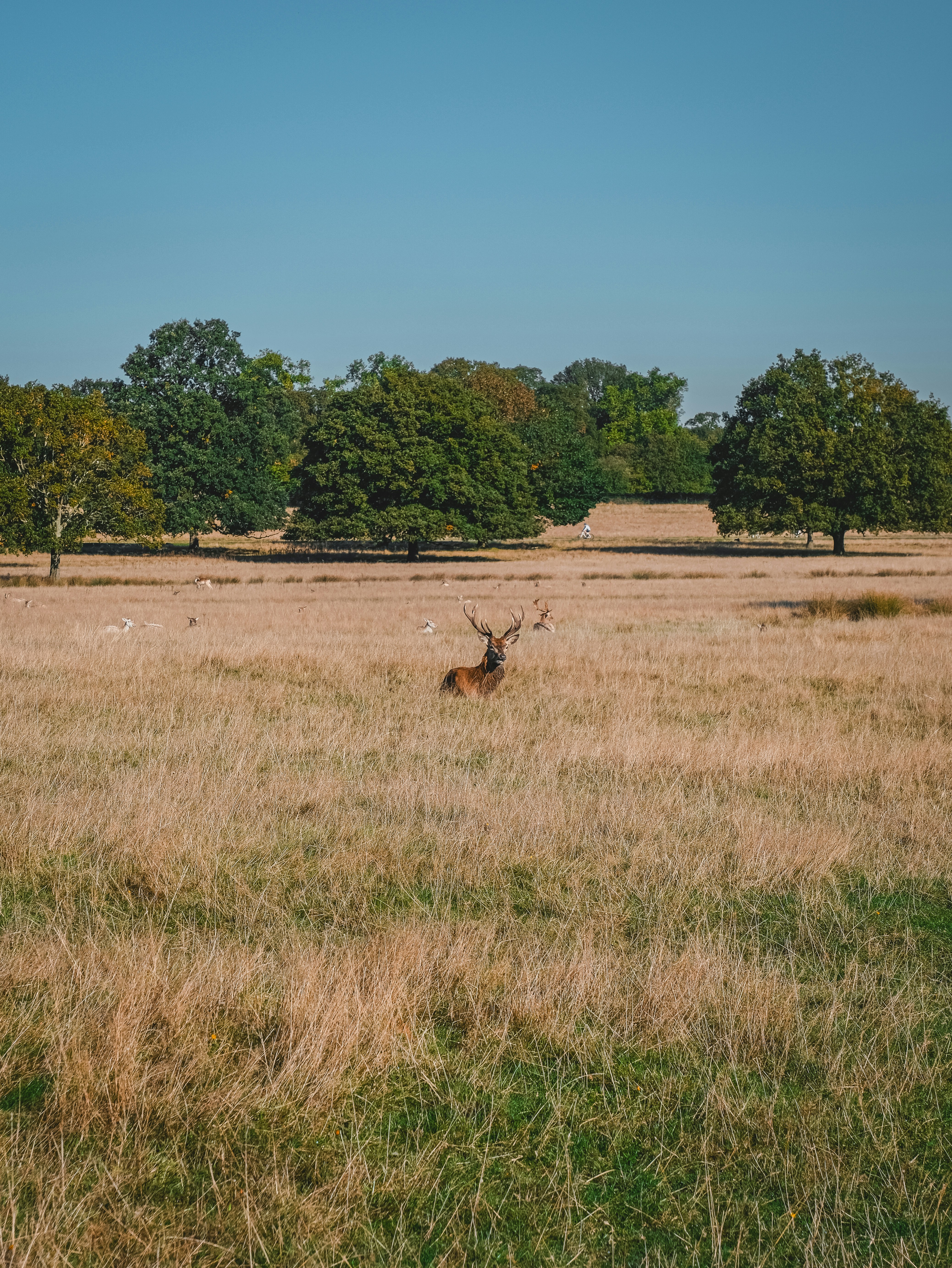 Photo by itsaroadmap