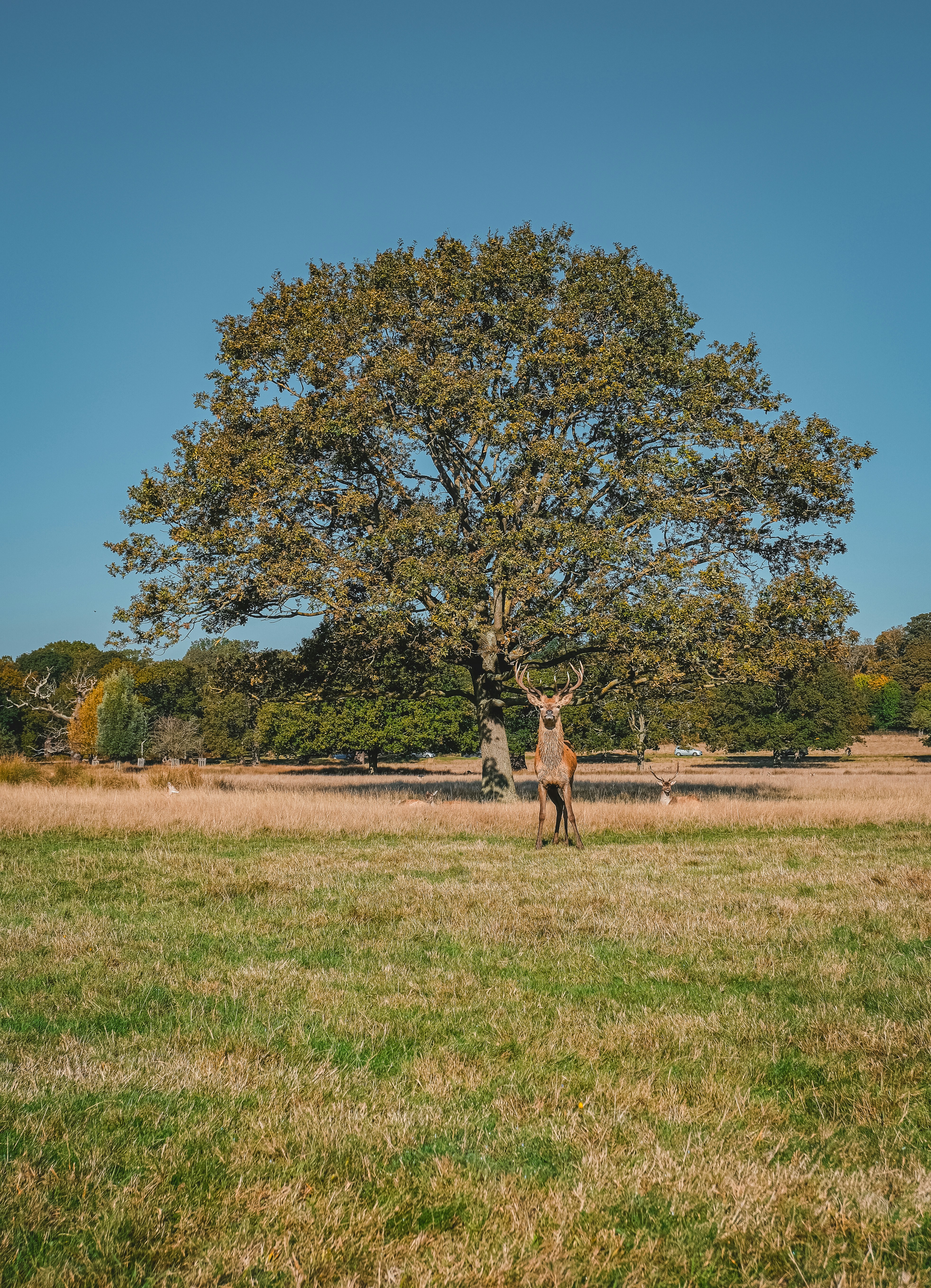 Photo by itsaroadmap