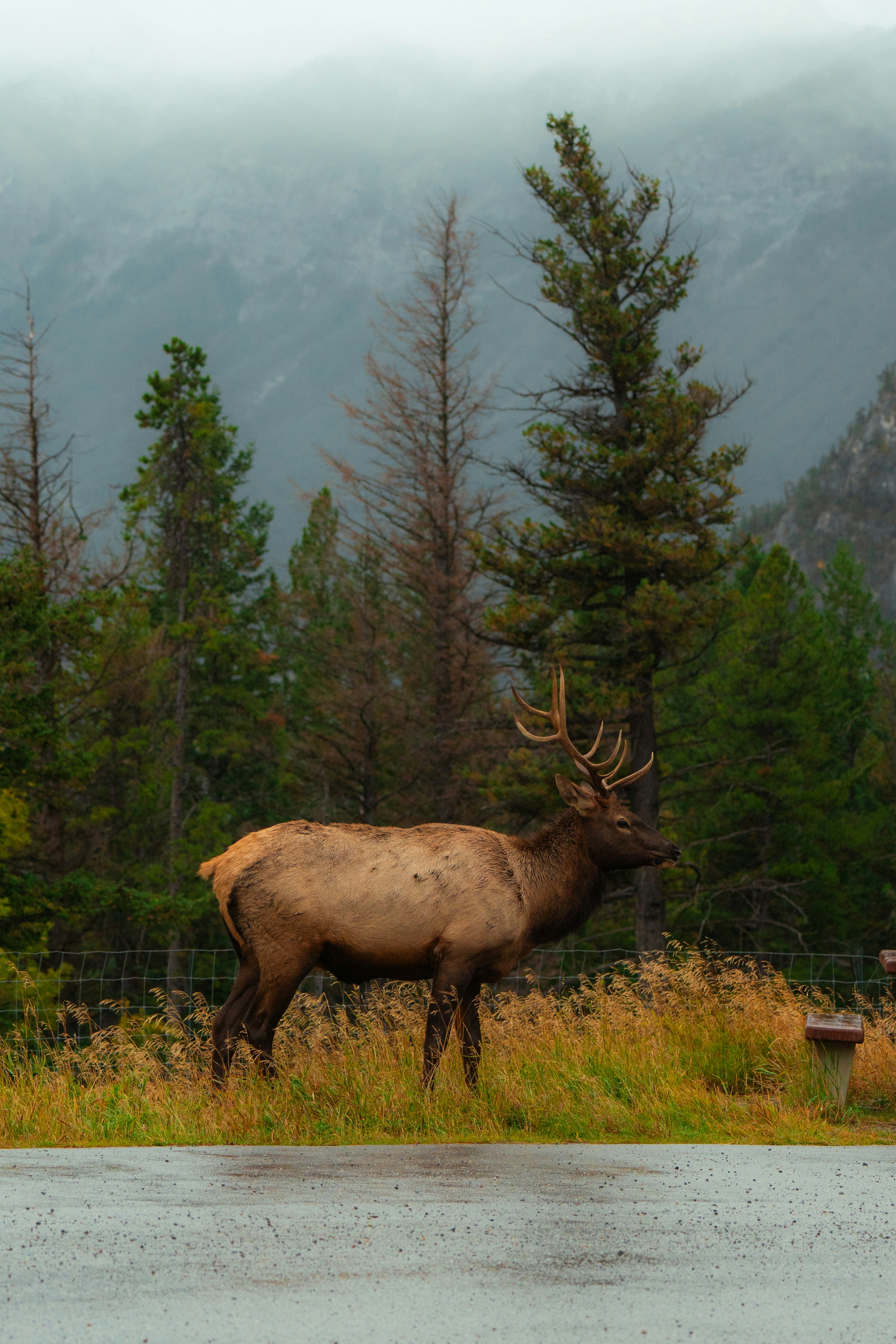 Photo by bylukemiller