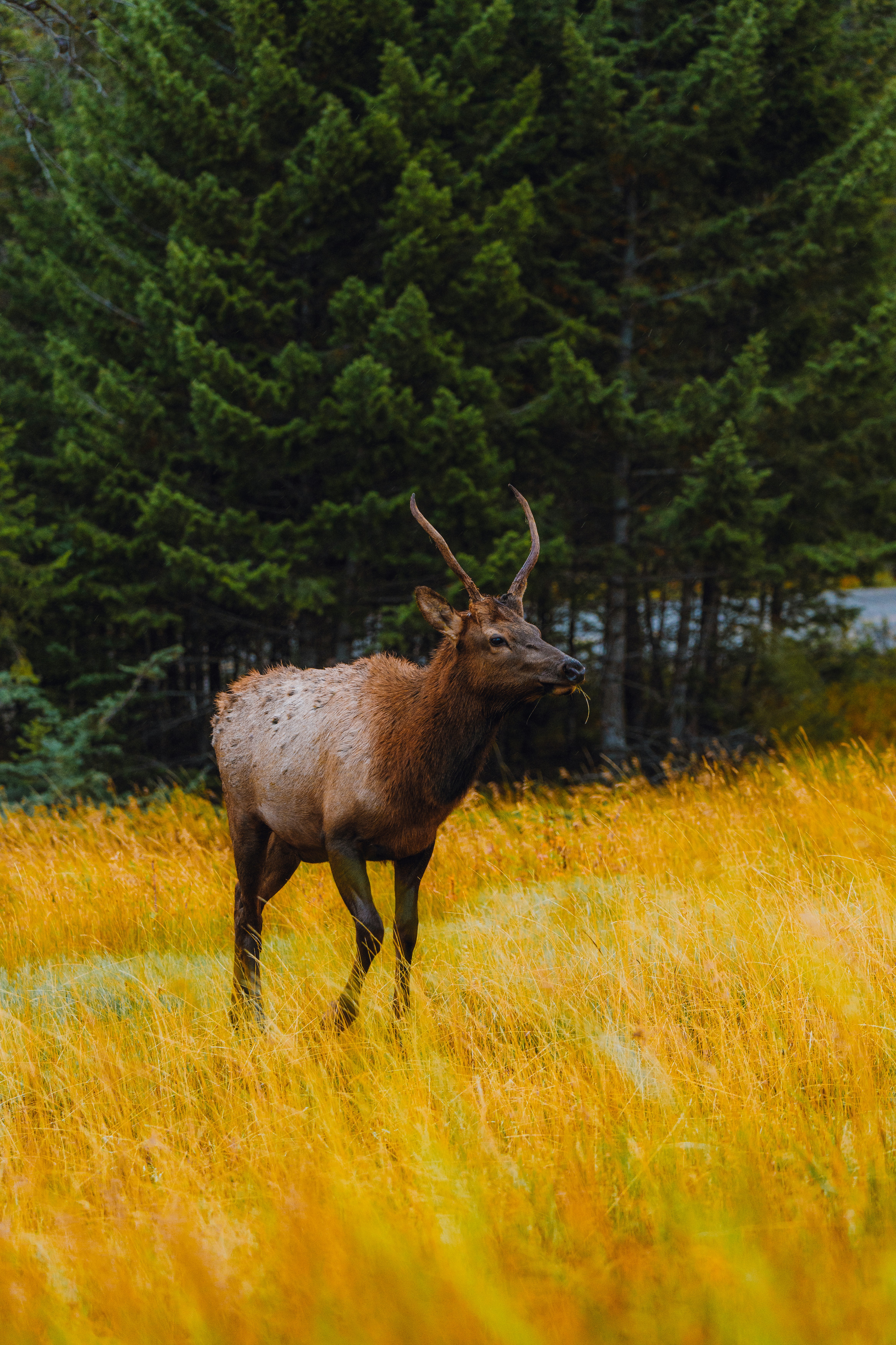 Photo by bylukemiller