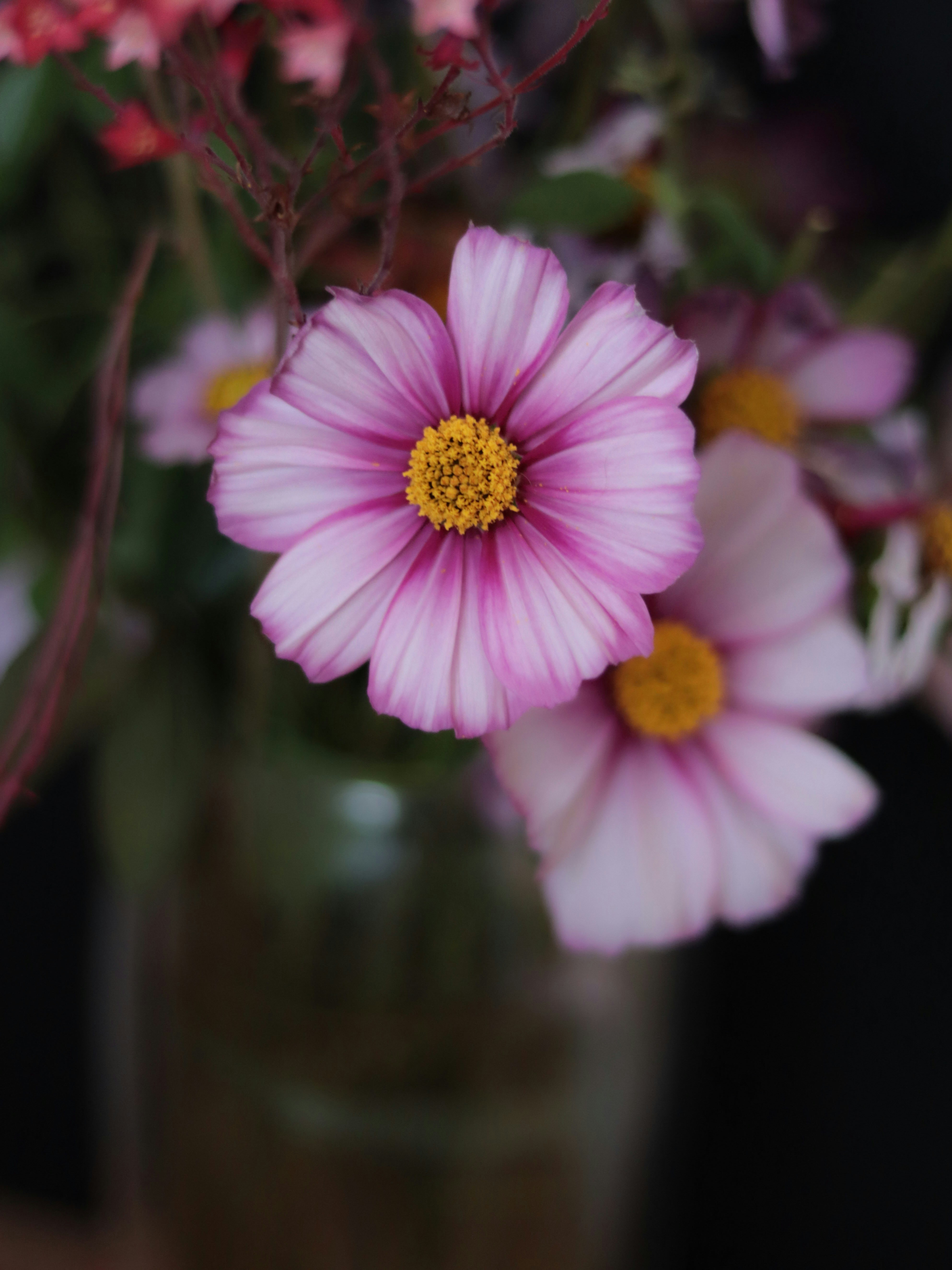 Um vaso cheio de flores cor de rosa em cima de uma mesa
