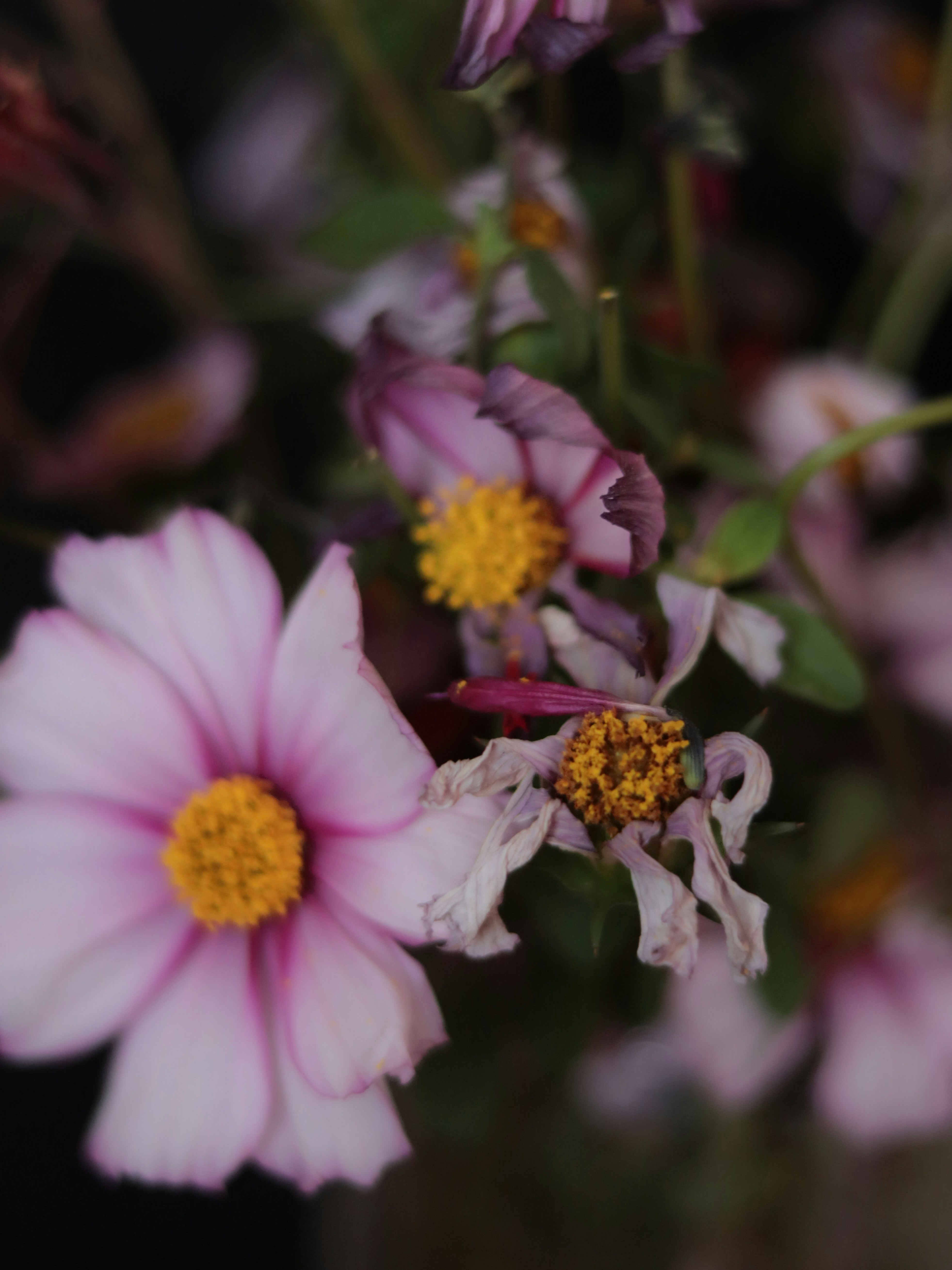 Um ramo de flores que estão em um vaso