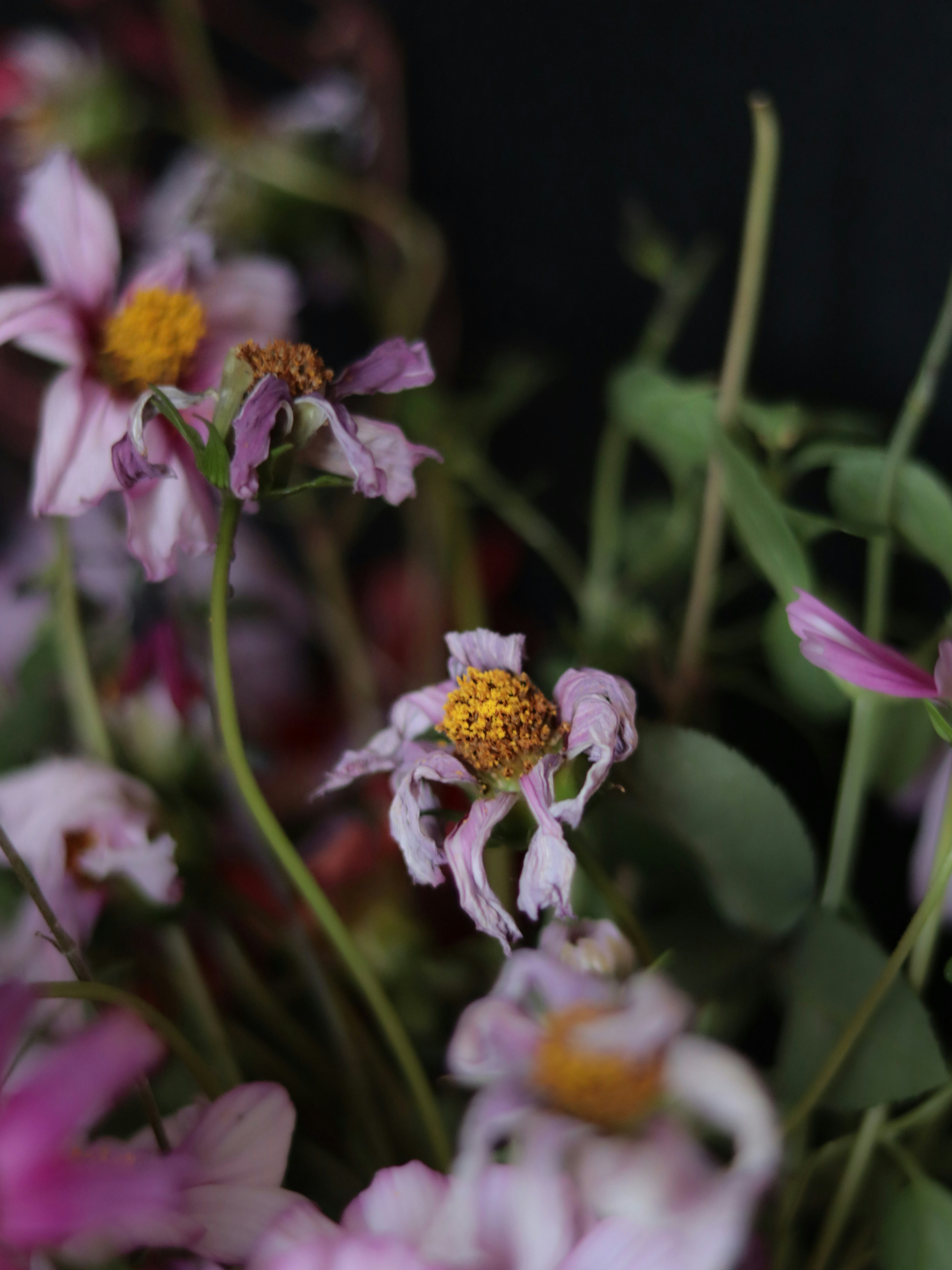 Um close up de um buquê de flores