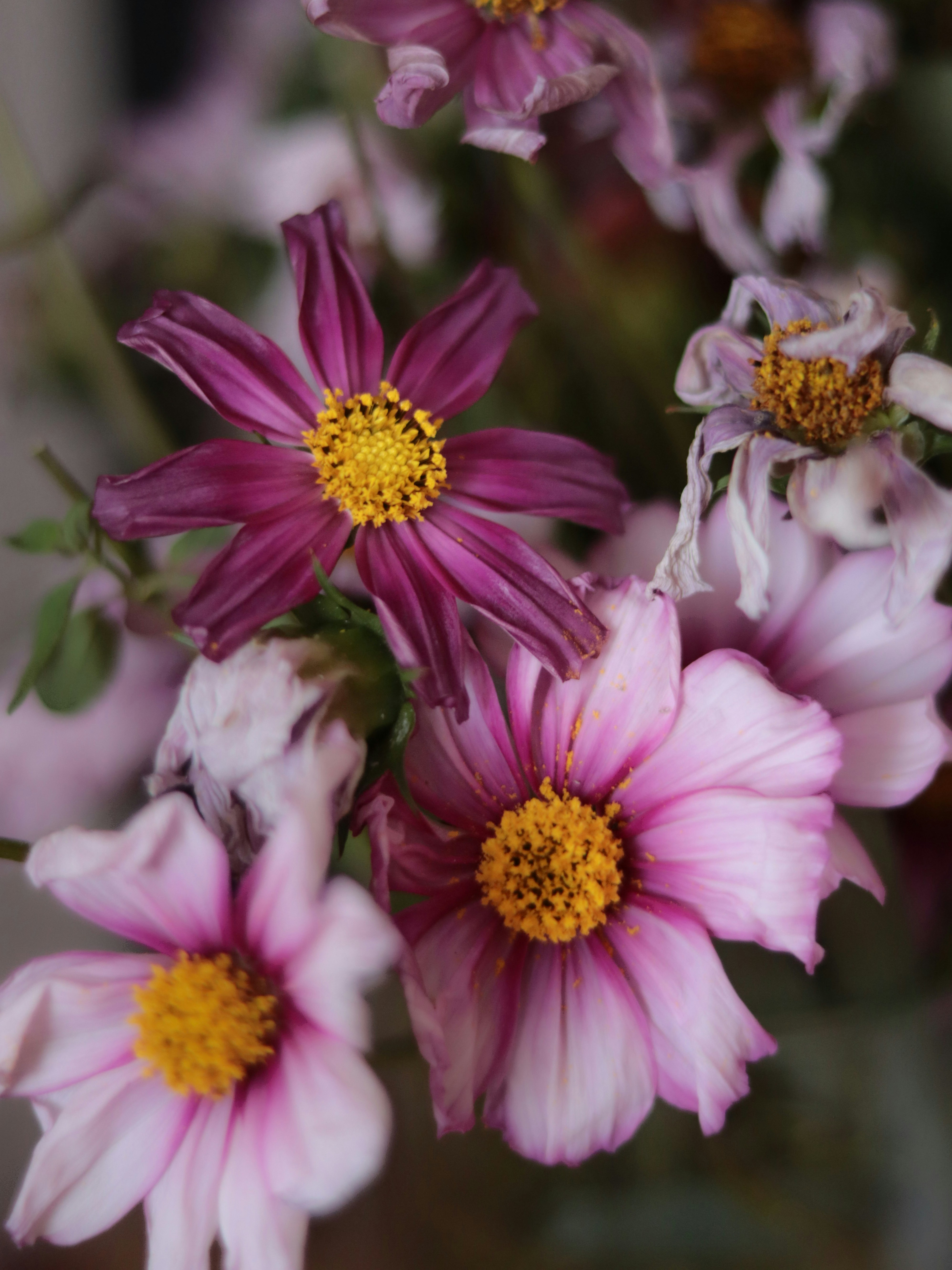 Um ramo de flores que estão em um vaso