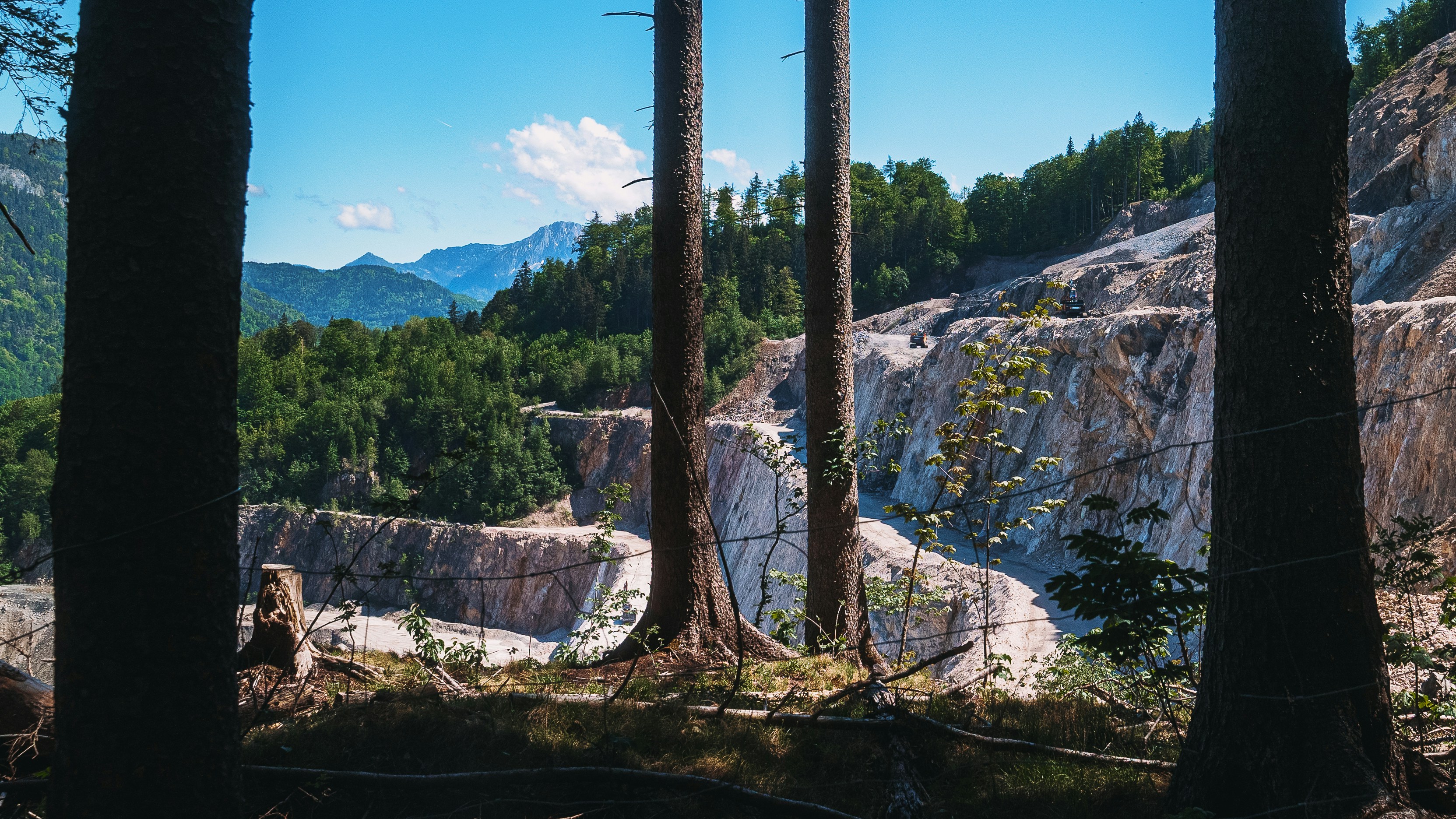 Photo by patrick_von_der_wehd