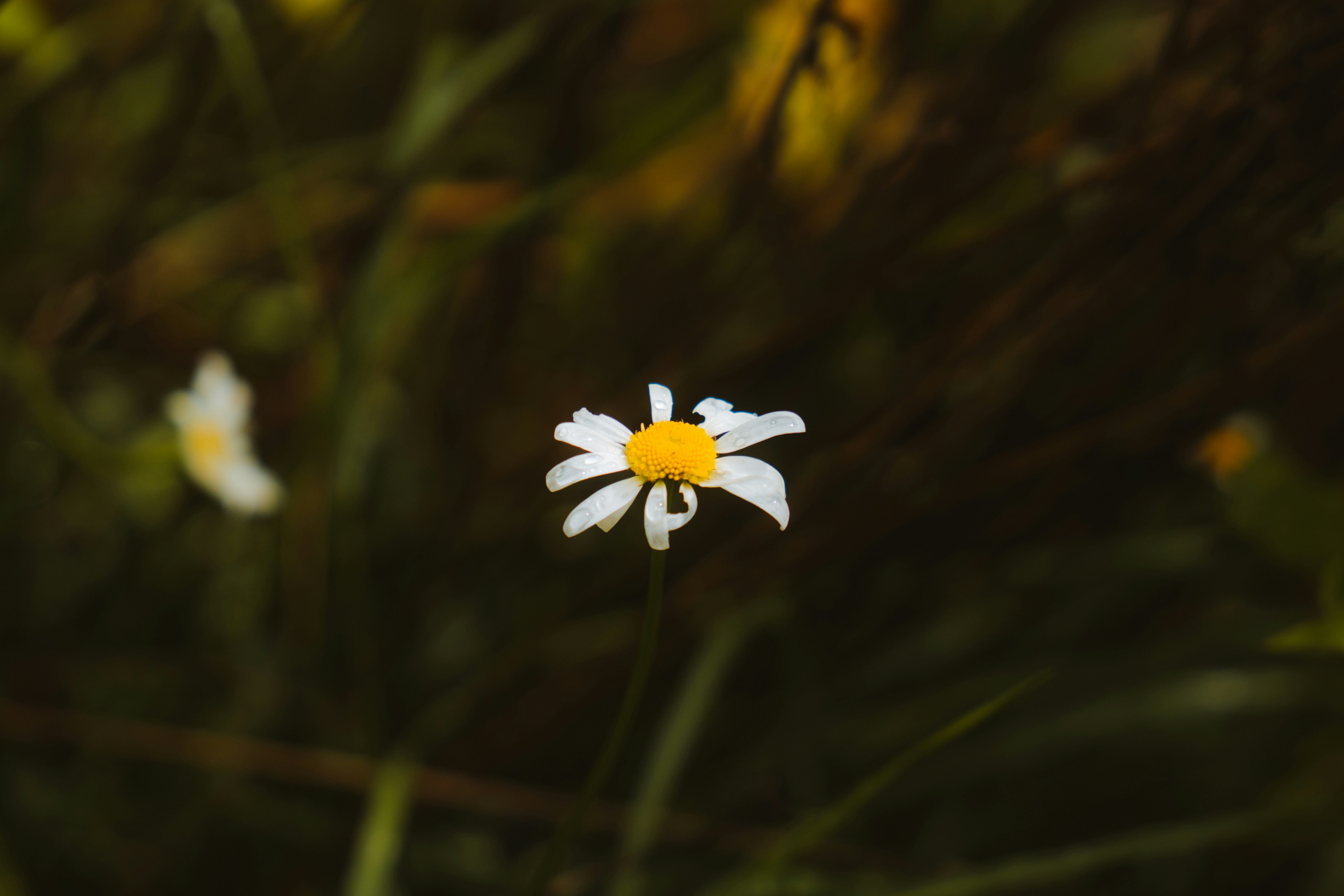 Photo by bylukemiller