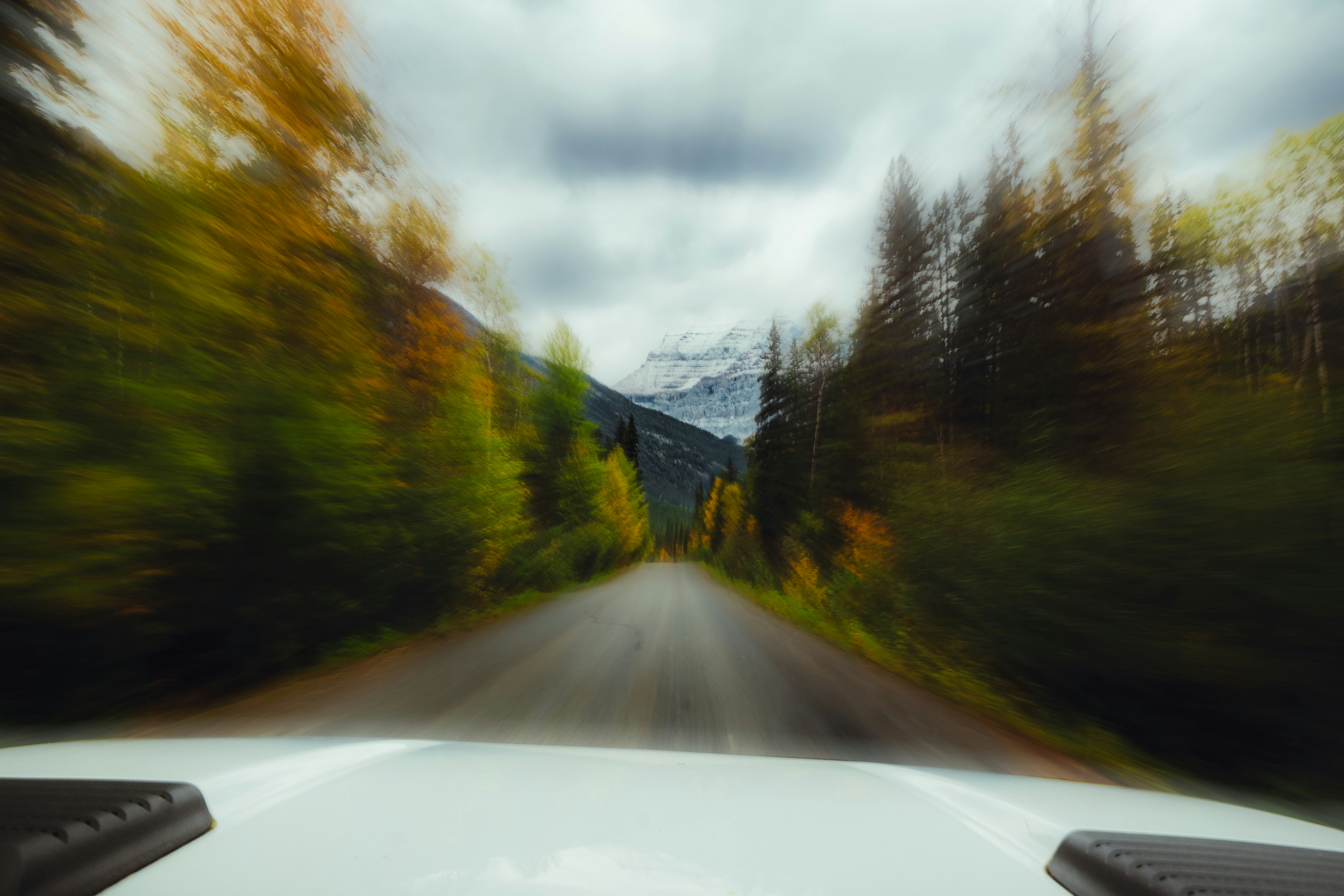 A car driving down a road with trees in the background photo – Free Car ...