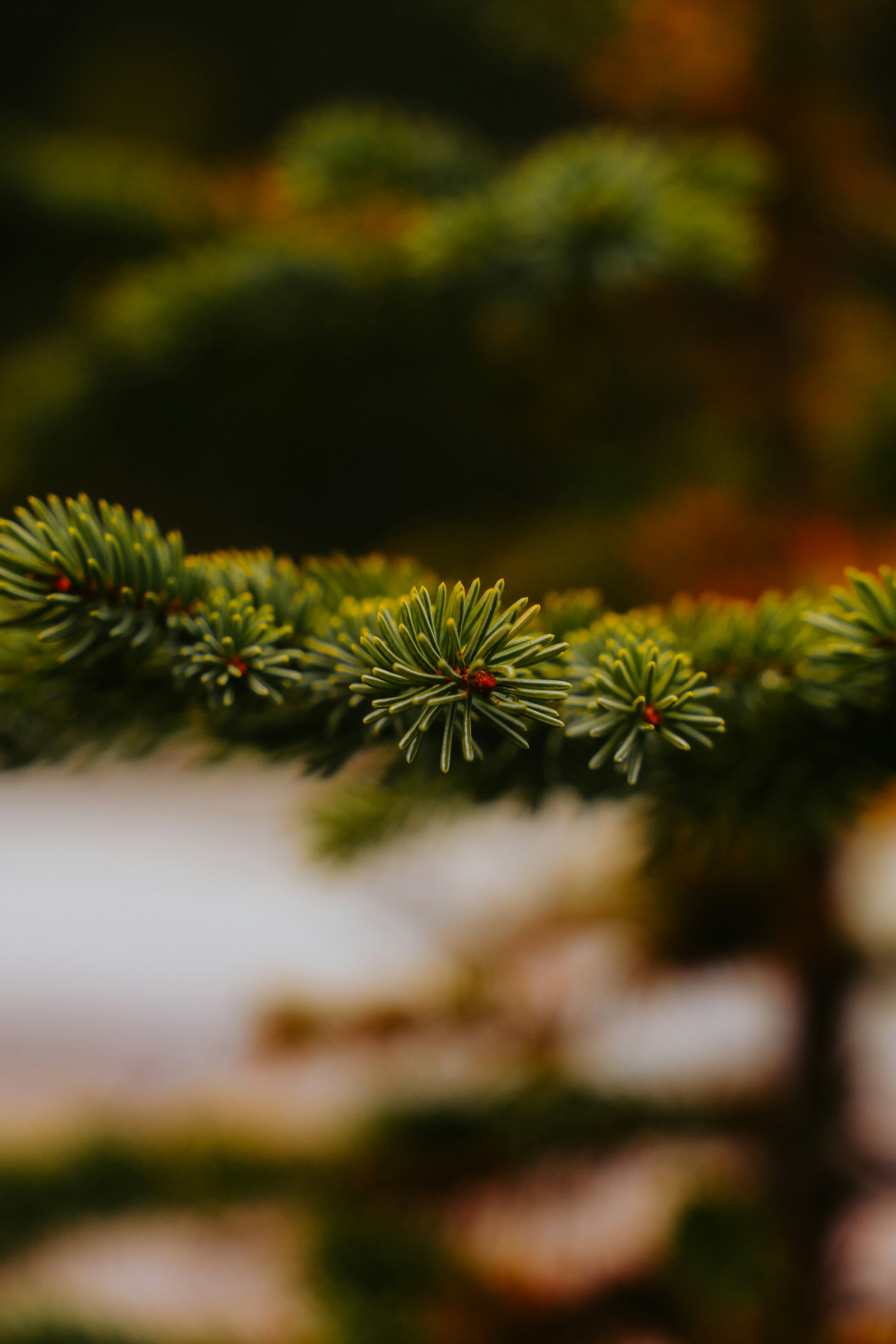 Photo by bylukemiller