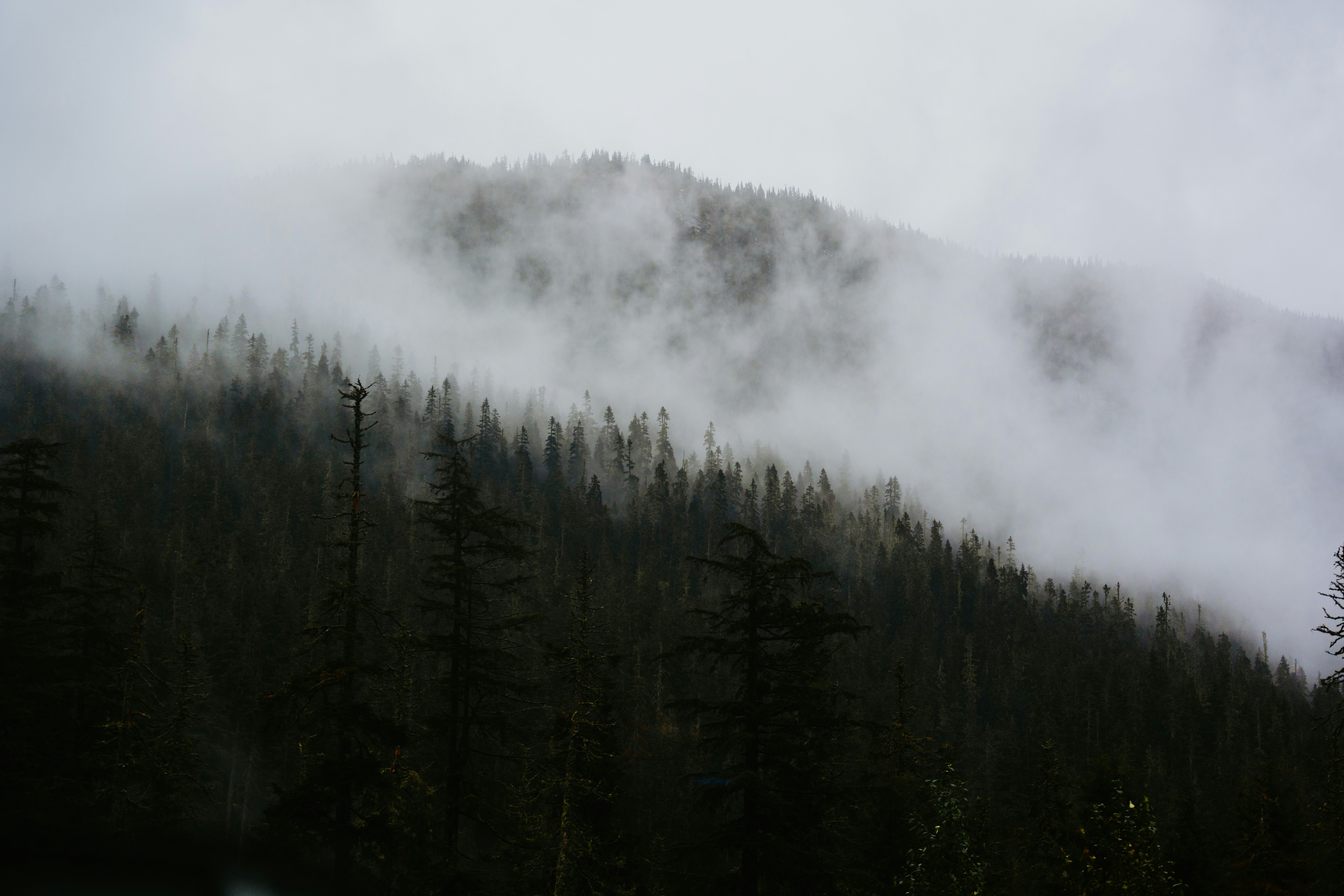 Photo by bylukemiller