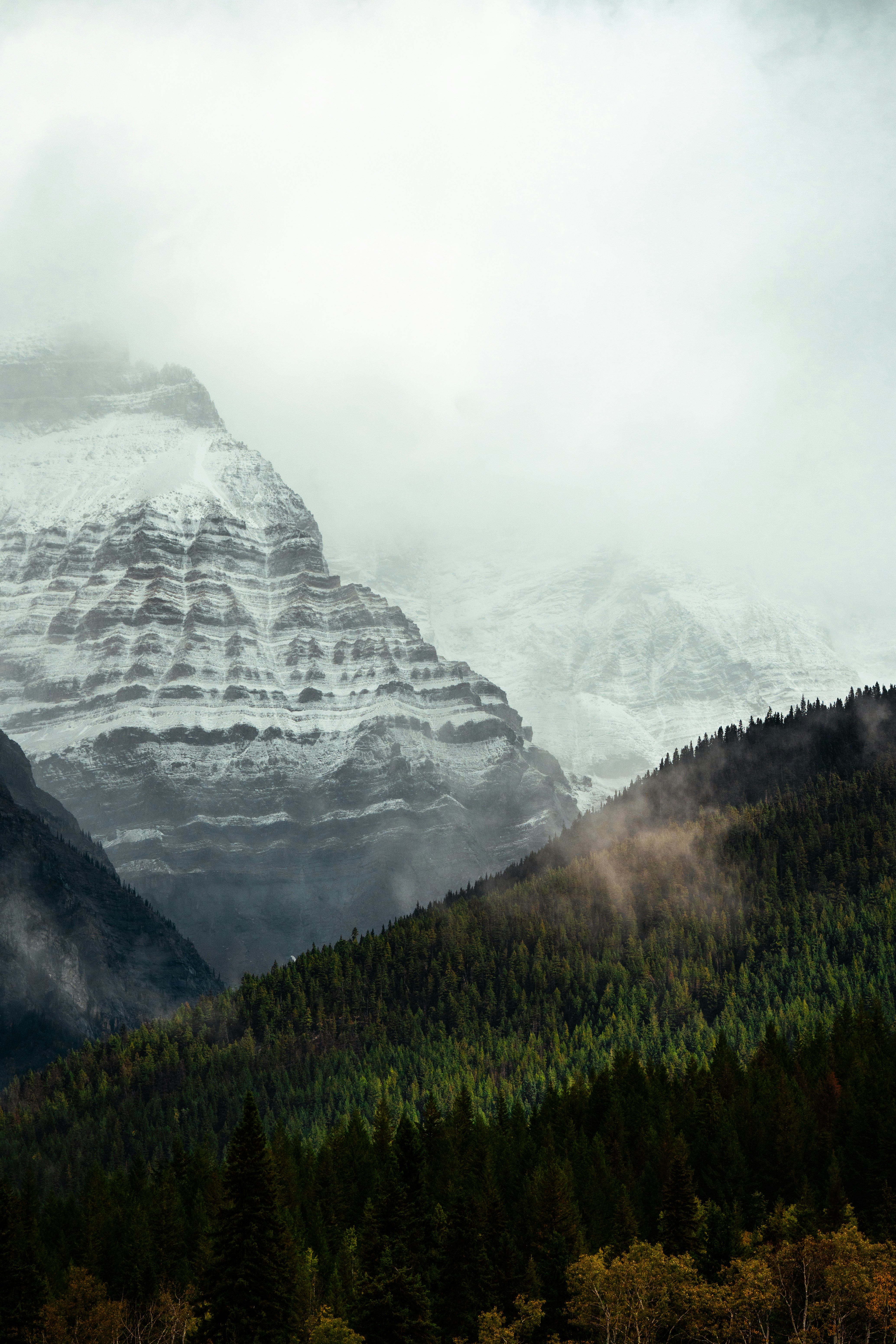 Photo by bylukemiller