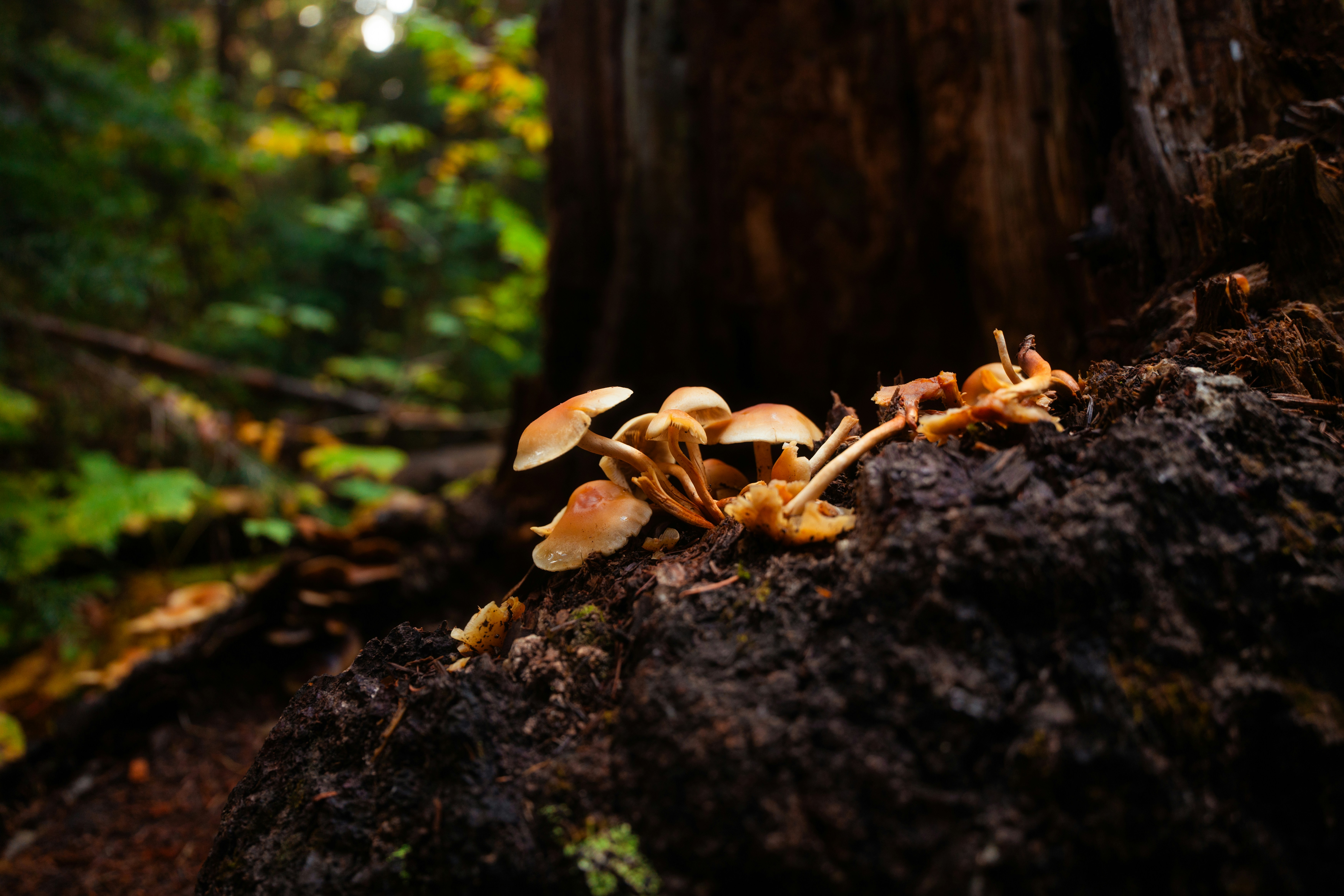 Photo by bylukemiller