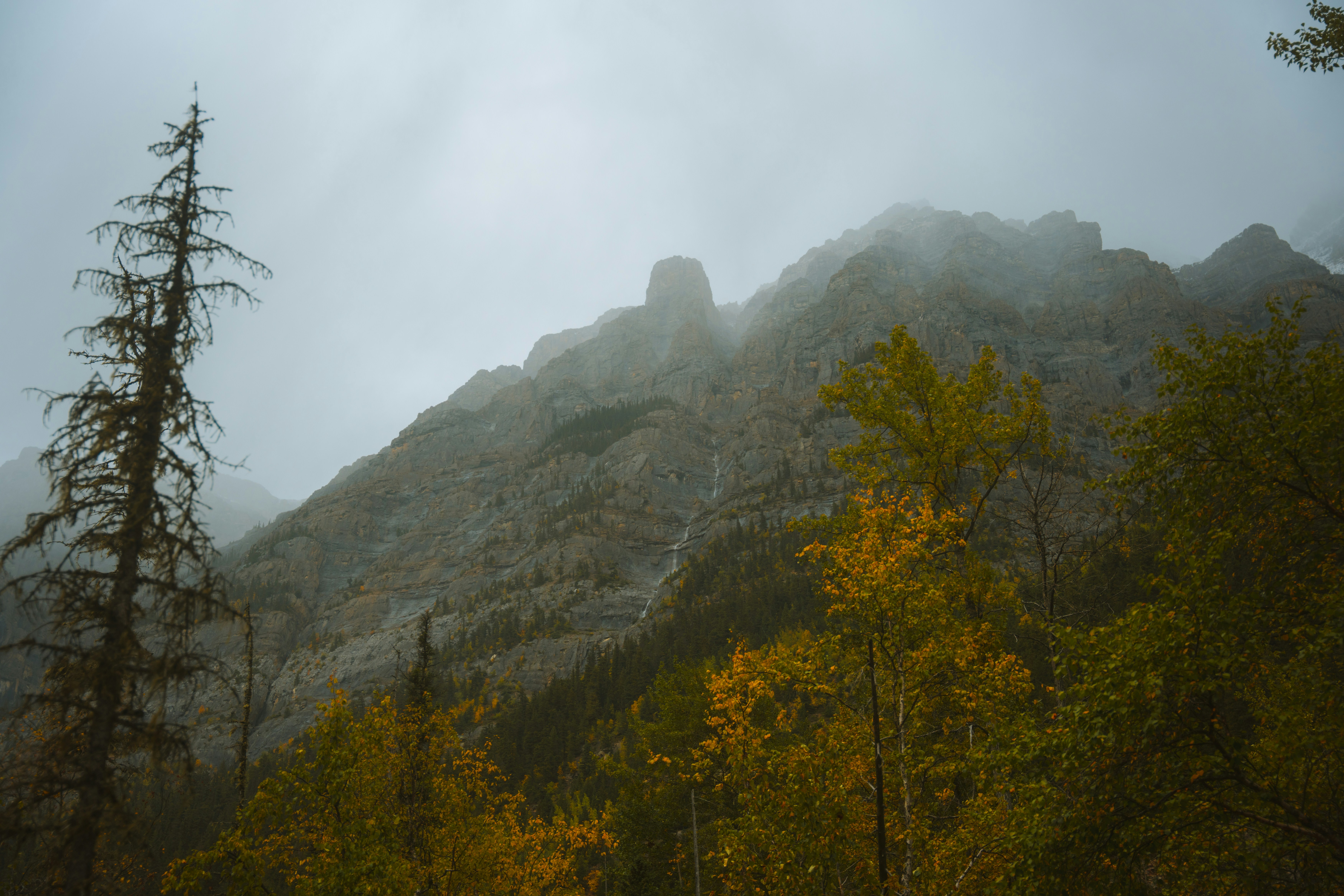 Photo by bylukemiller