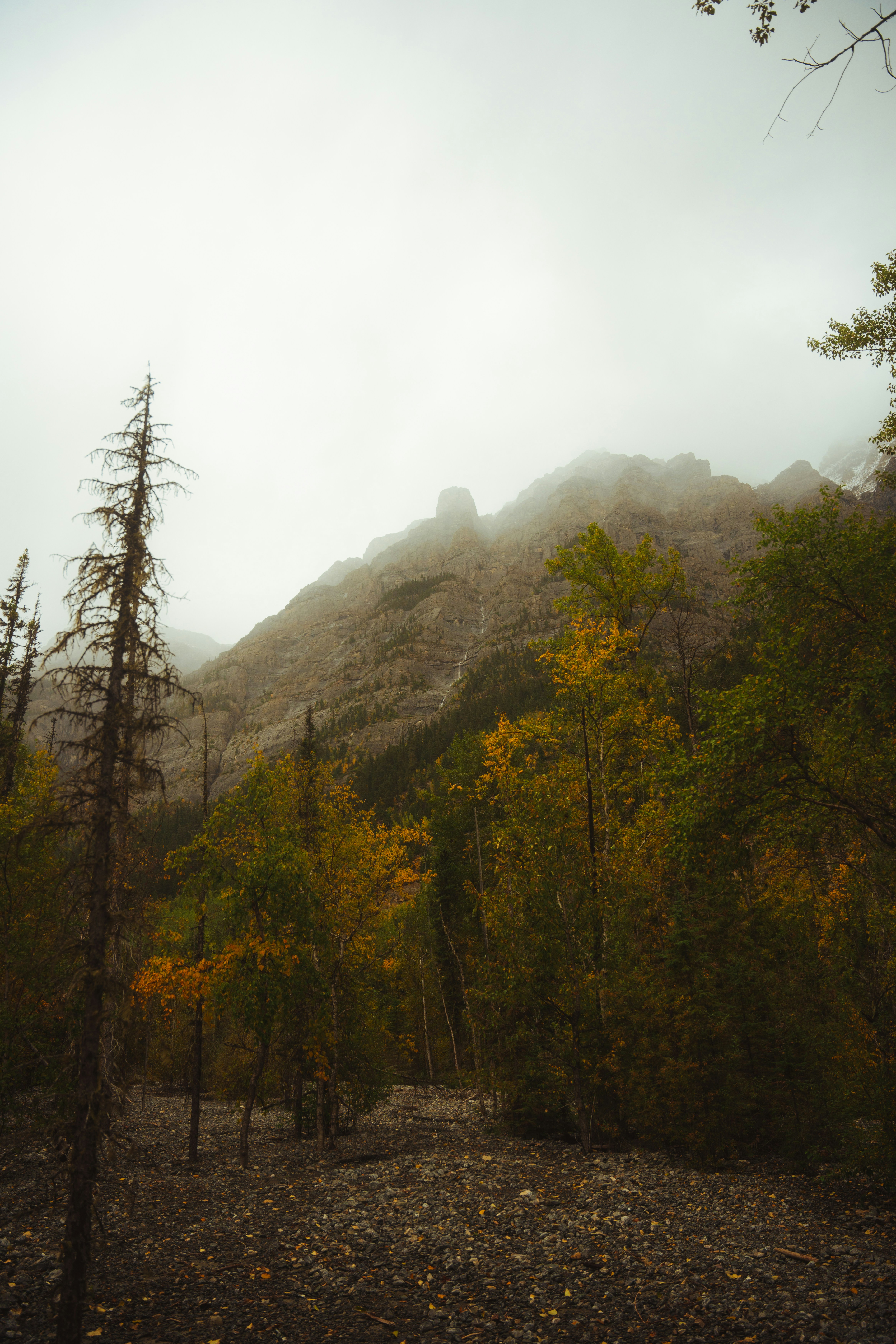 Photo by bylukemiller