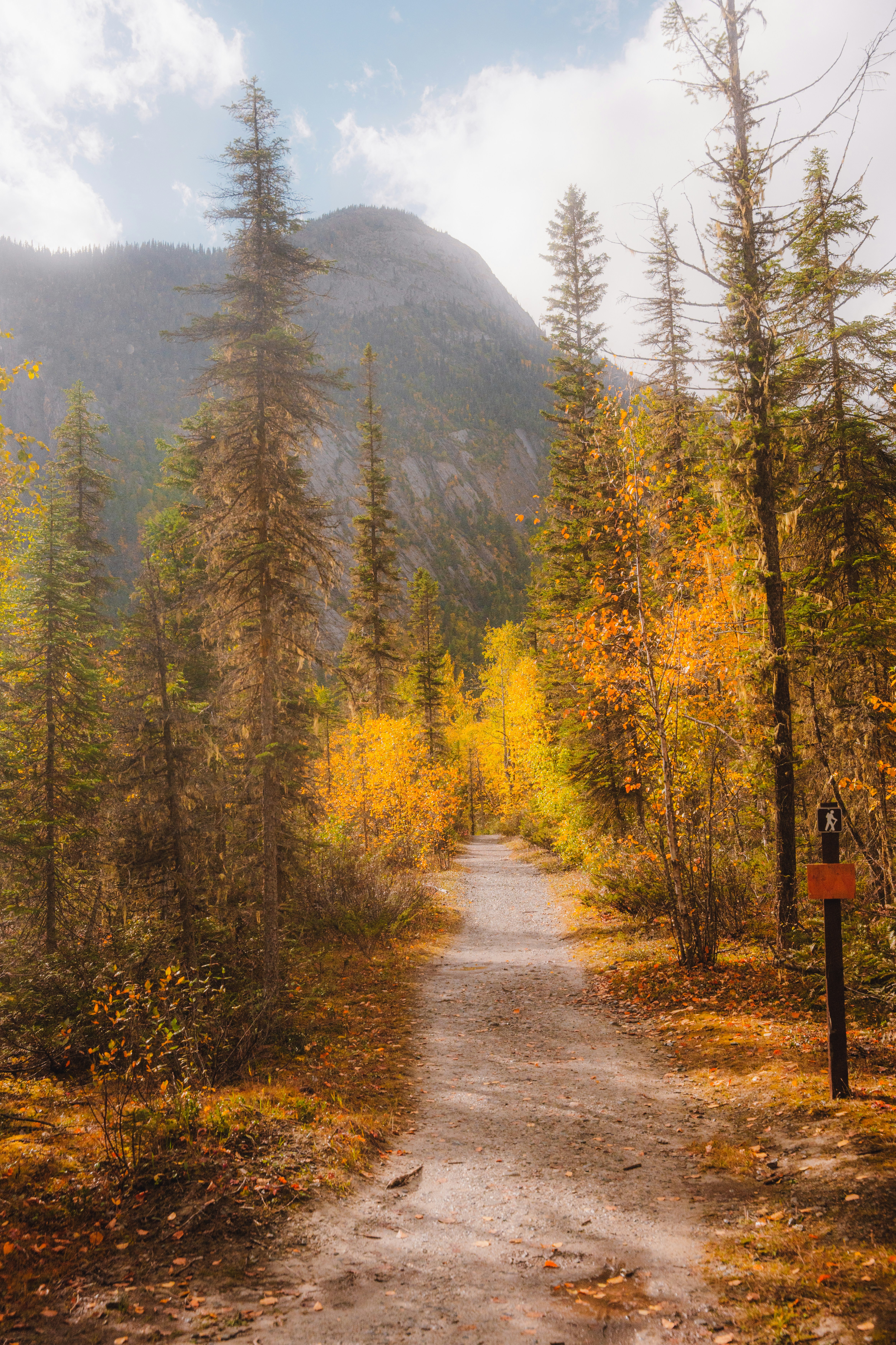 Photo by bylukemiller