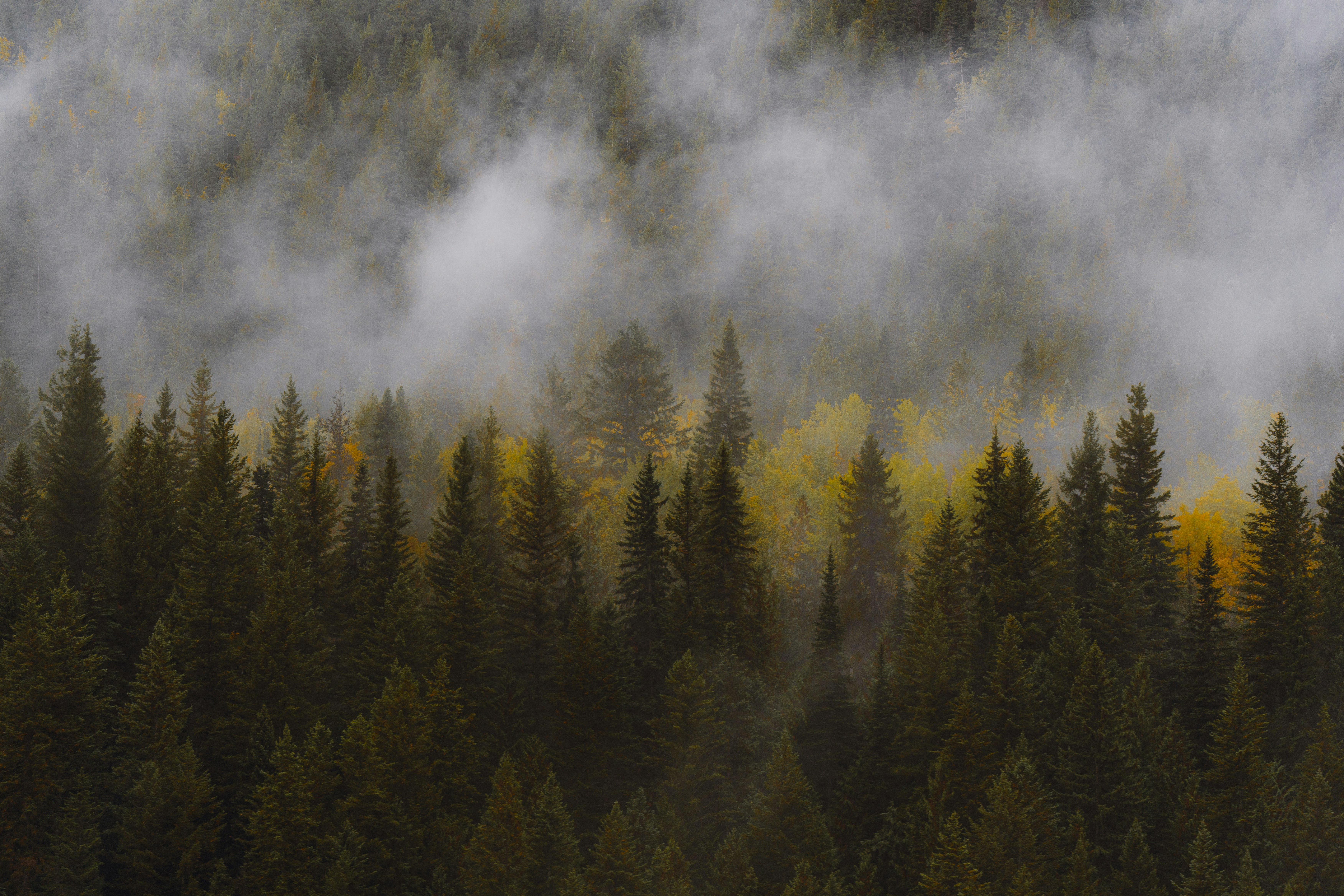 Photo by bylukemiller