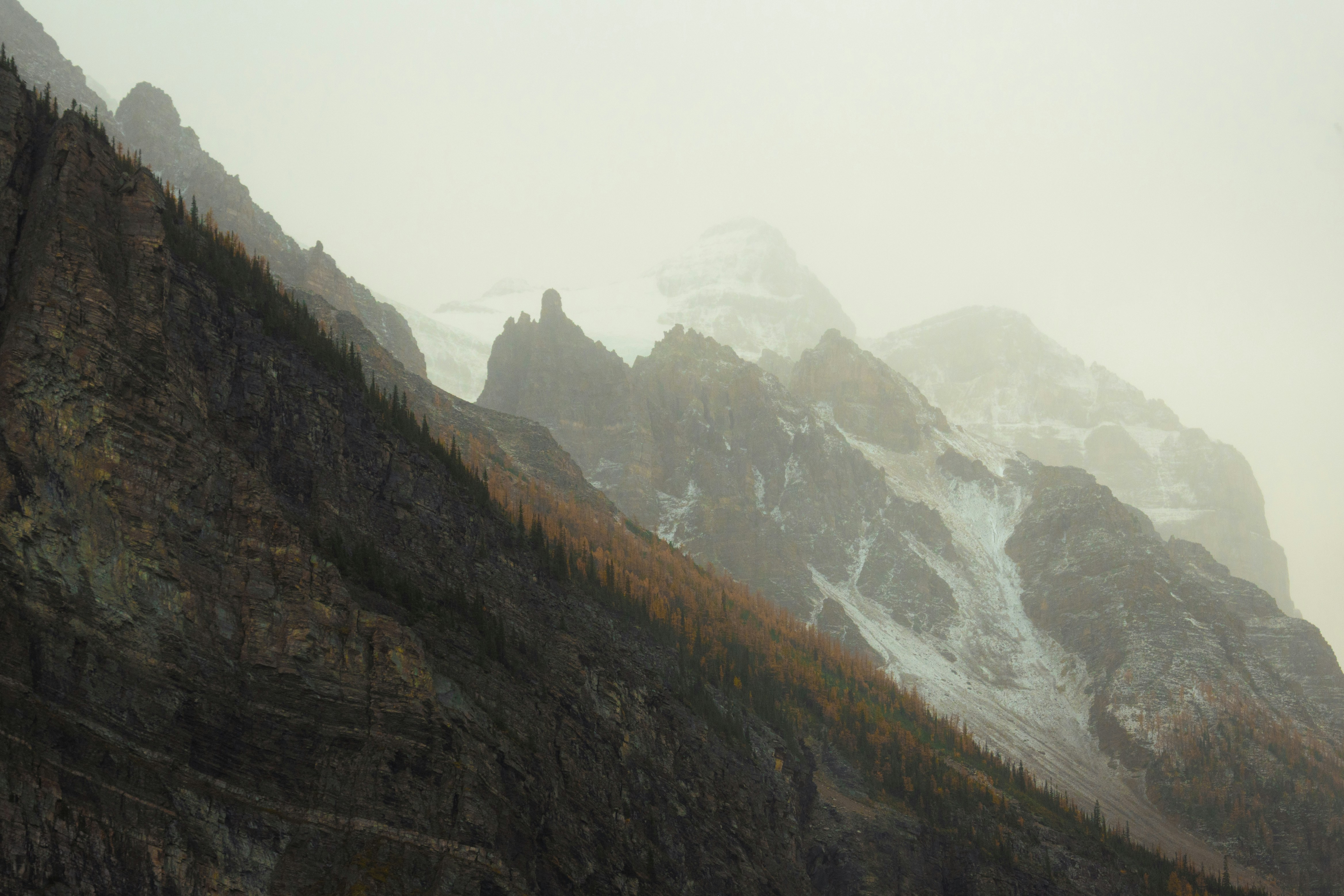 Photo by bylukemiller