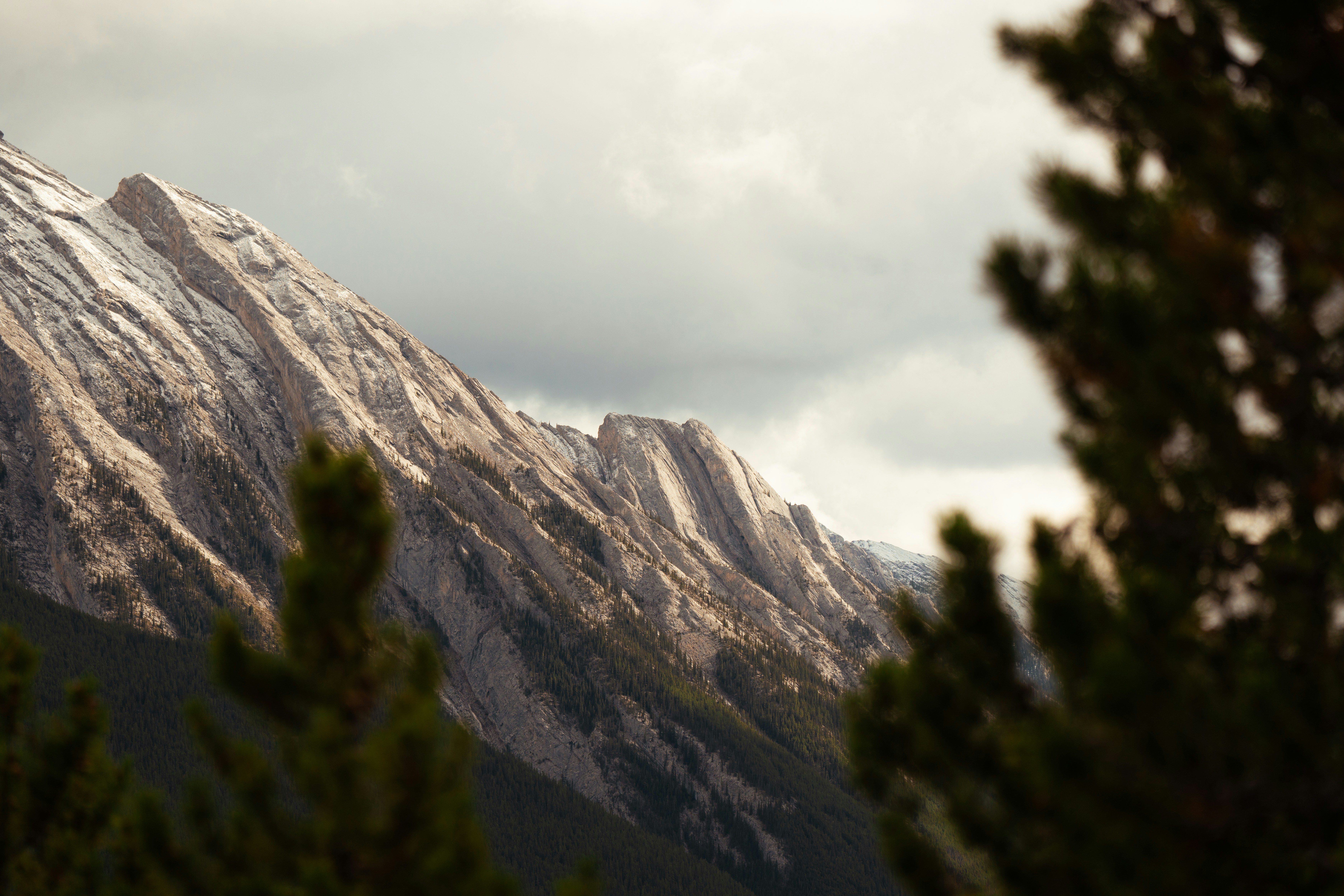 Photo by bylukemiller