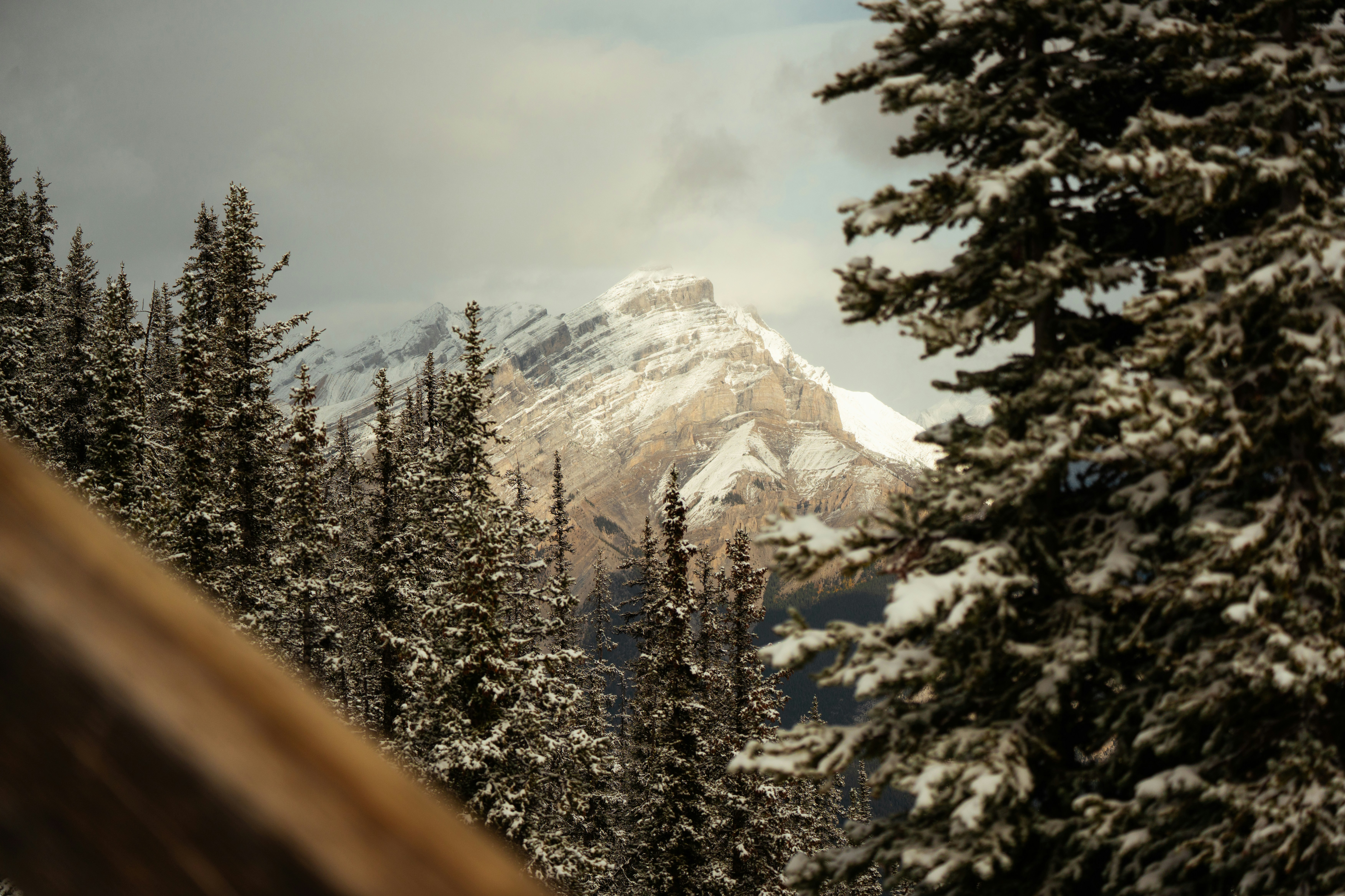 Photo by bylukemiller