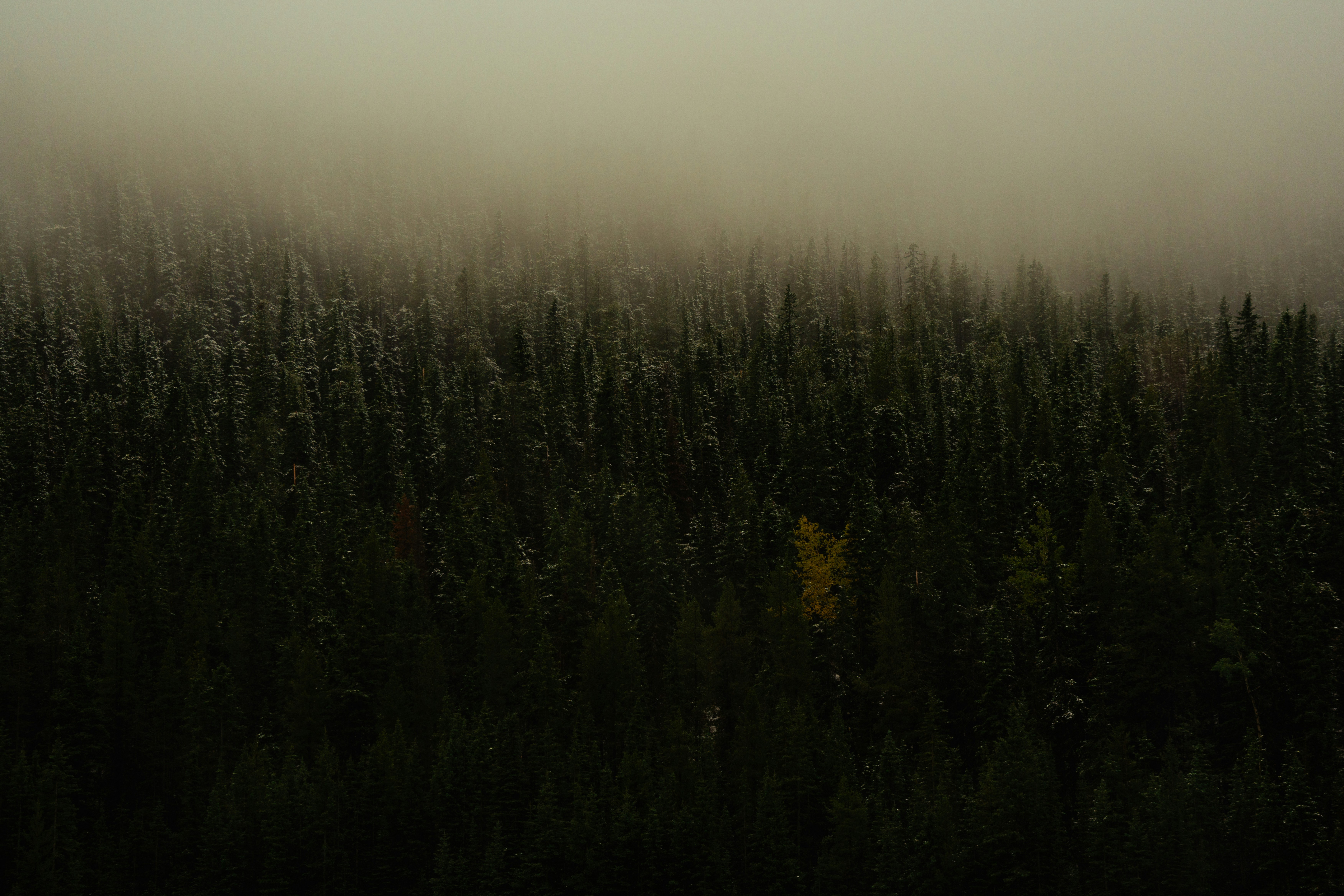 Photo by bylukemiller