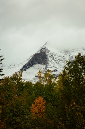 A mountain covered in snow surrounded by trees