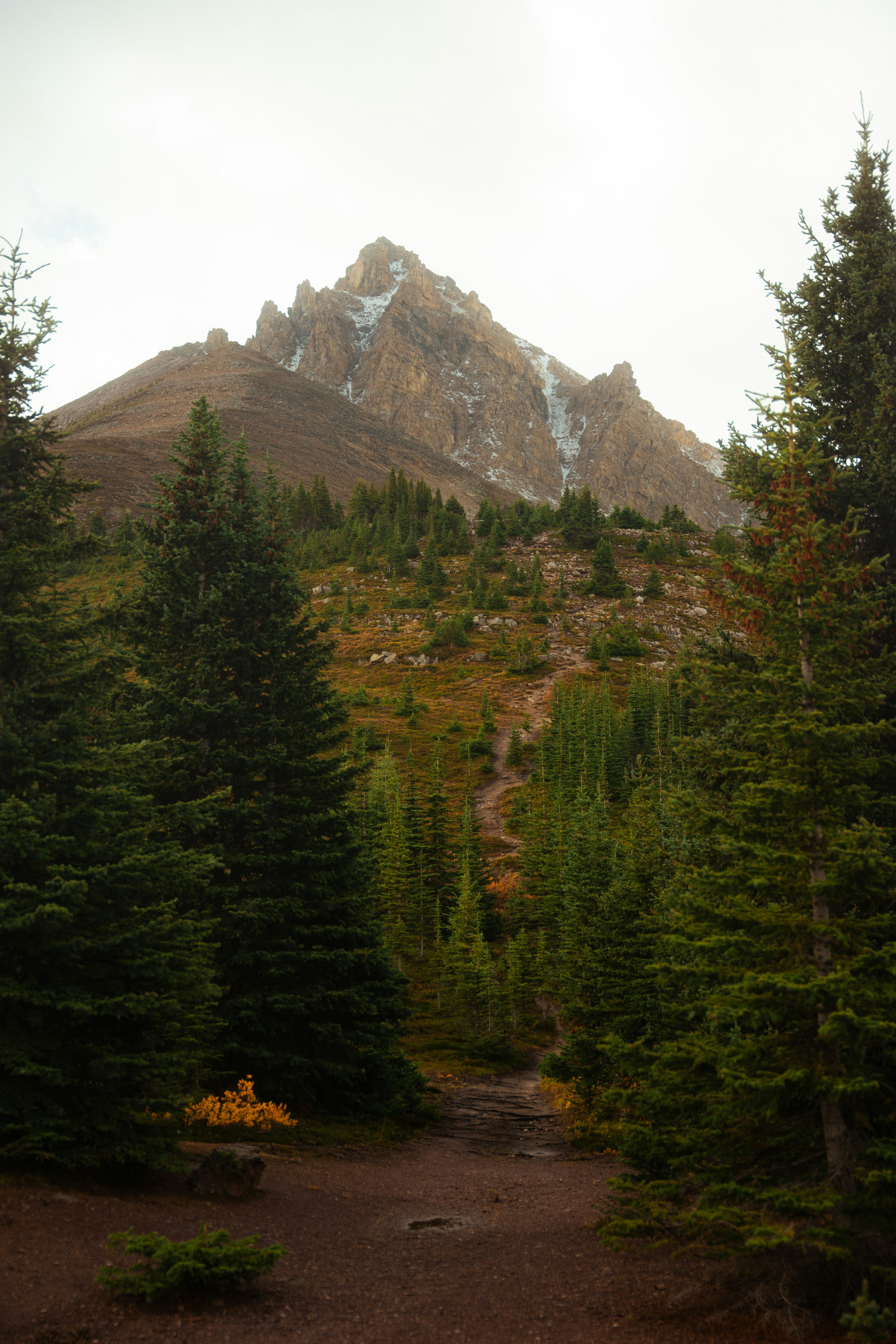 Photo by bylukemiller