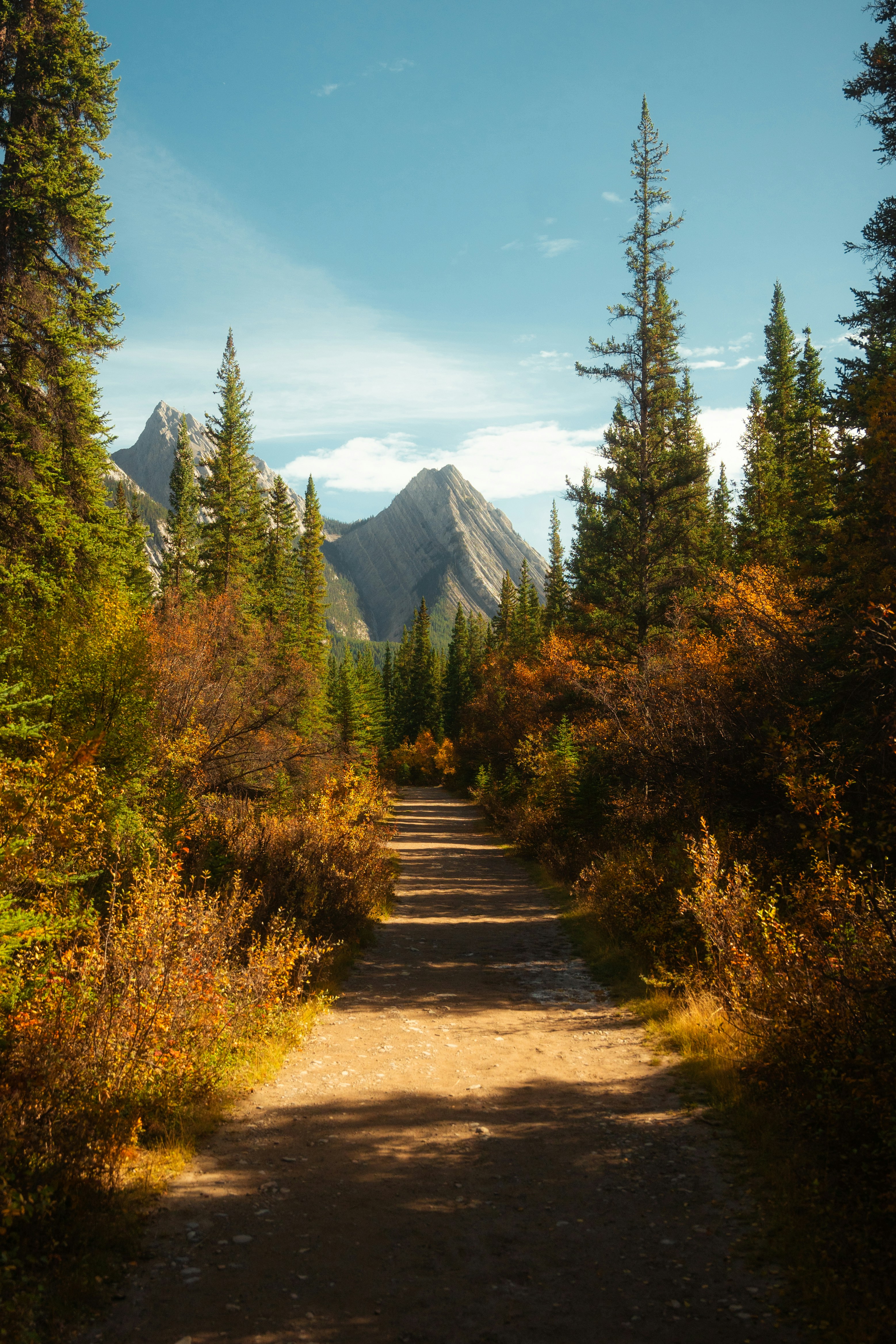 Photo by bylukemiller