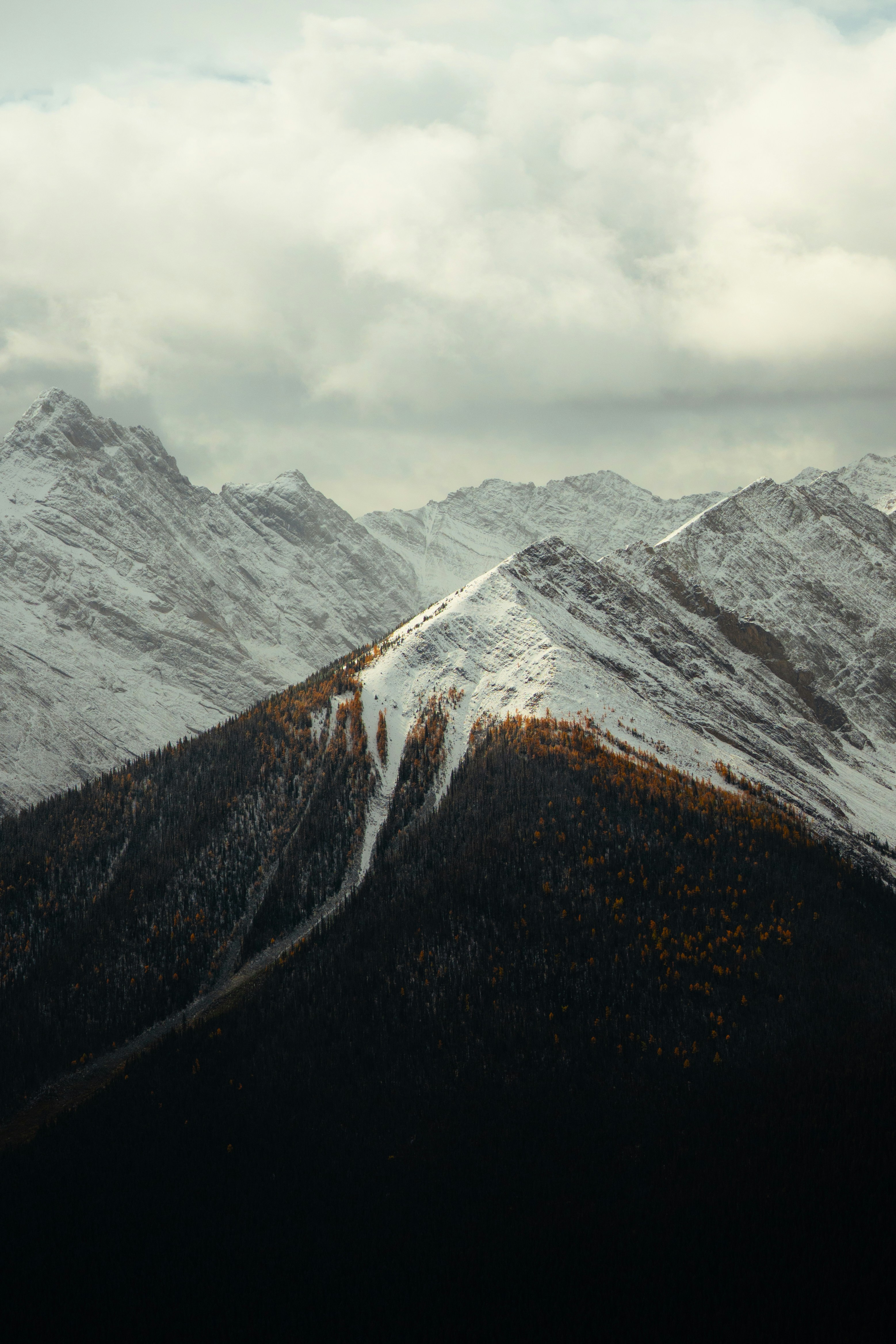 Photo by bylukemiller