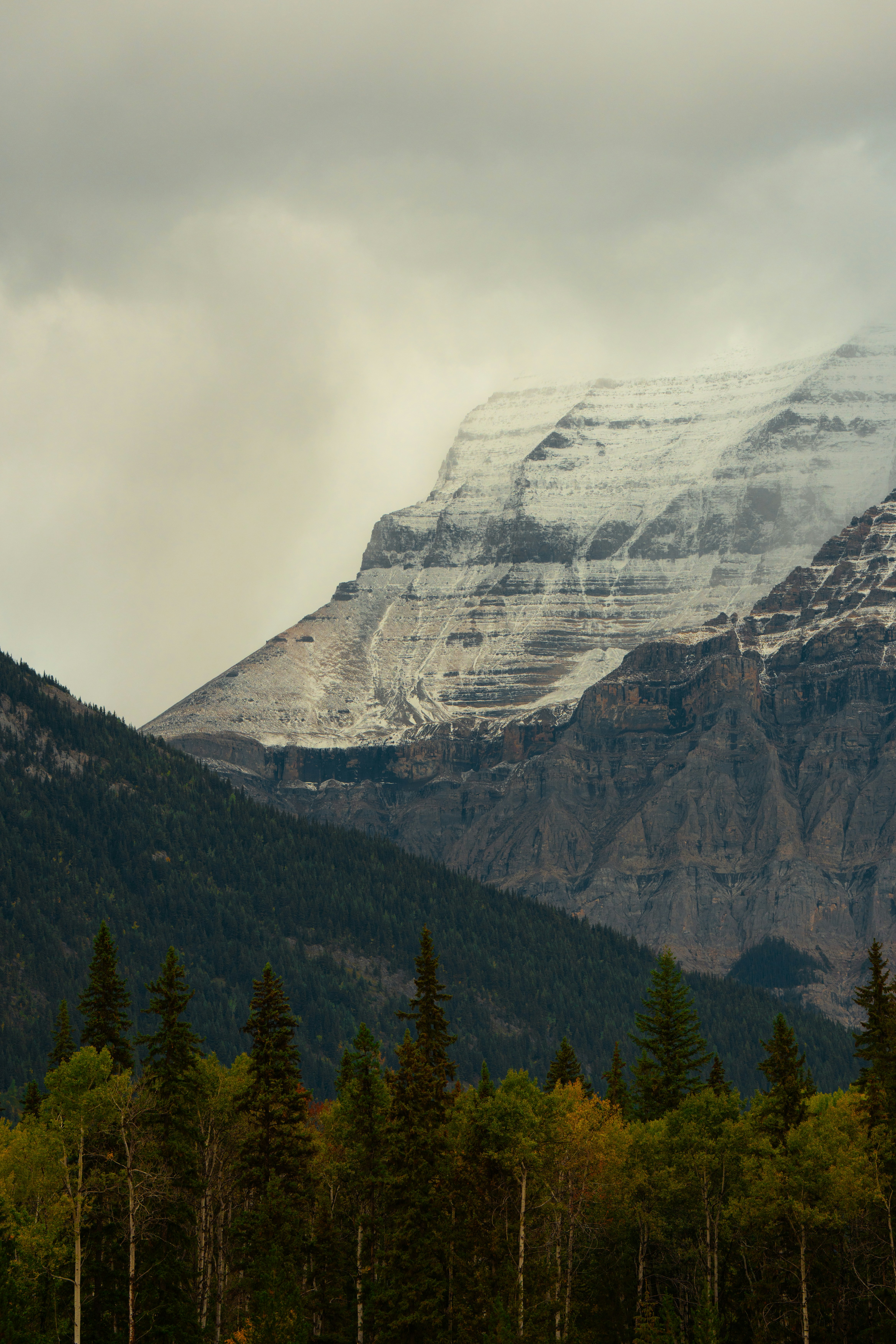 Photo by bylukemiller