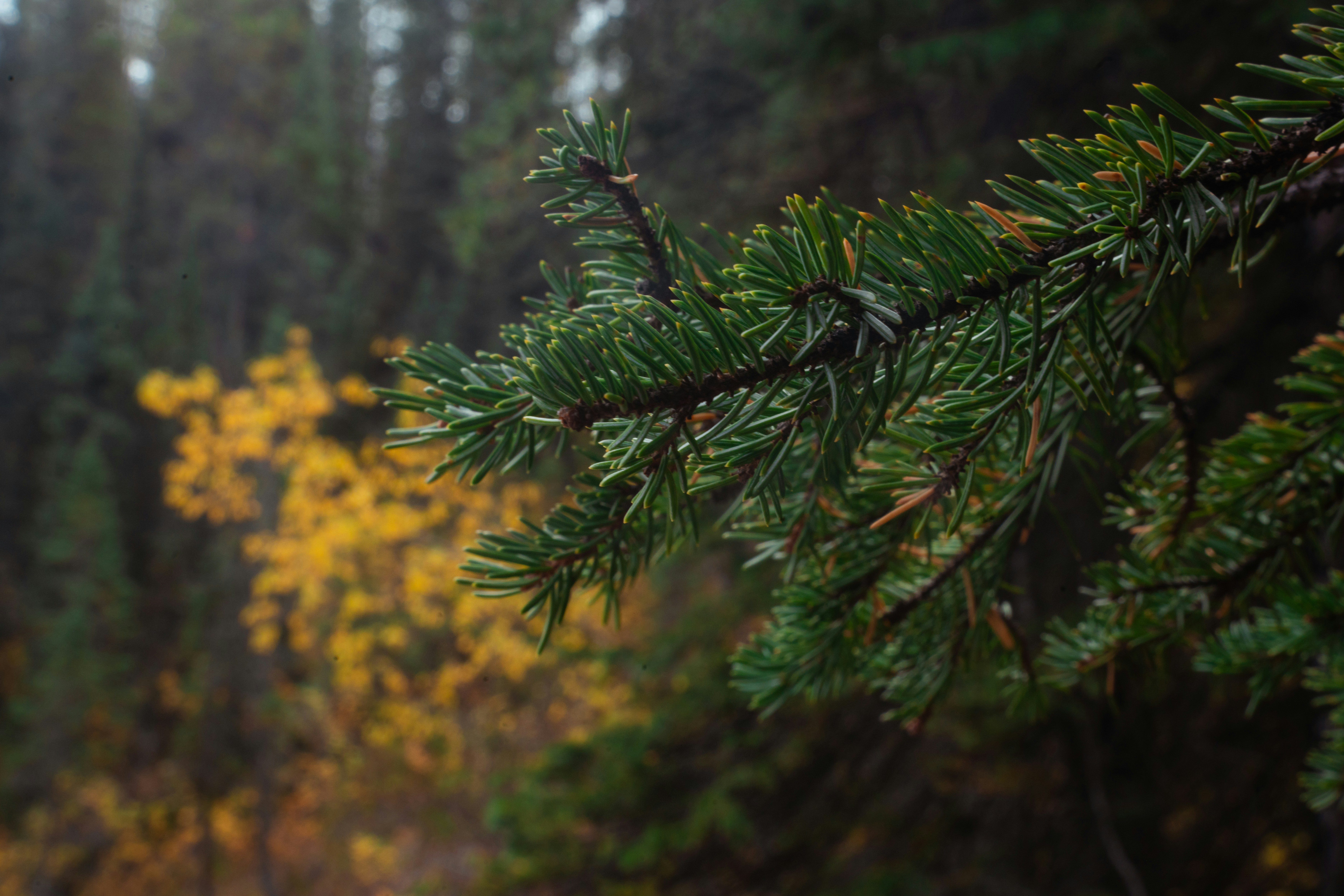 Photo by bylukemiller