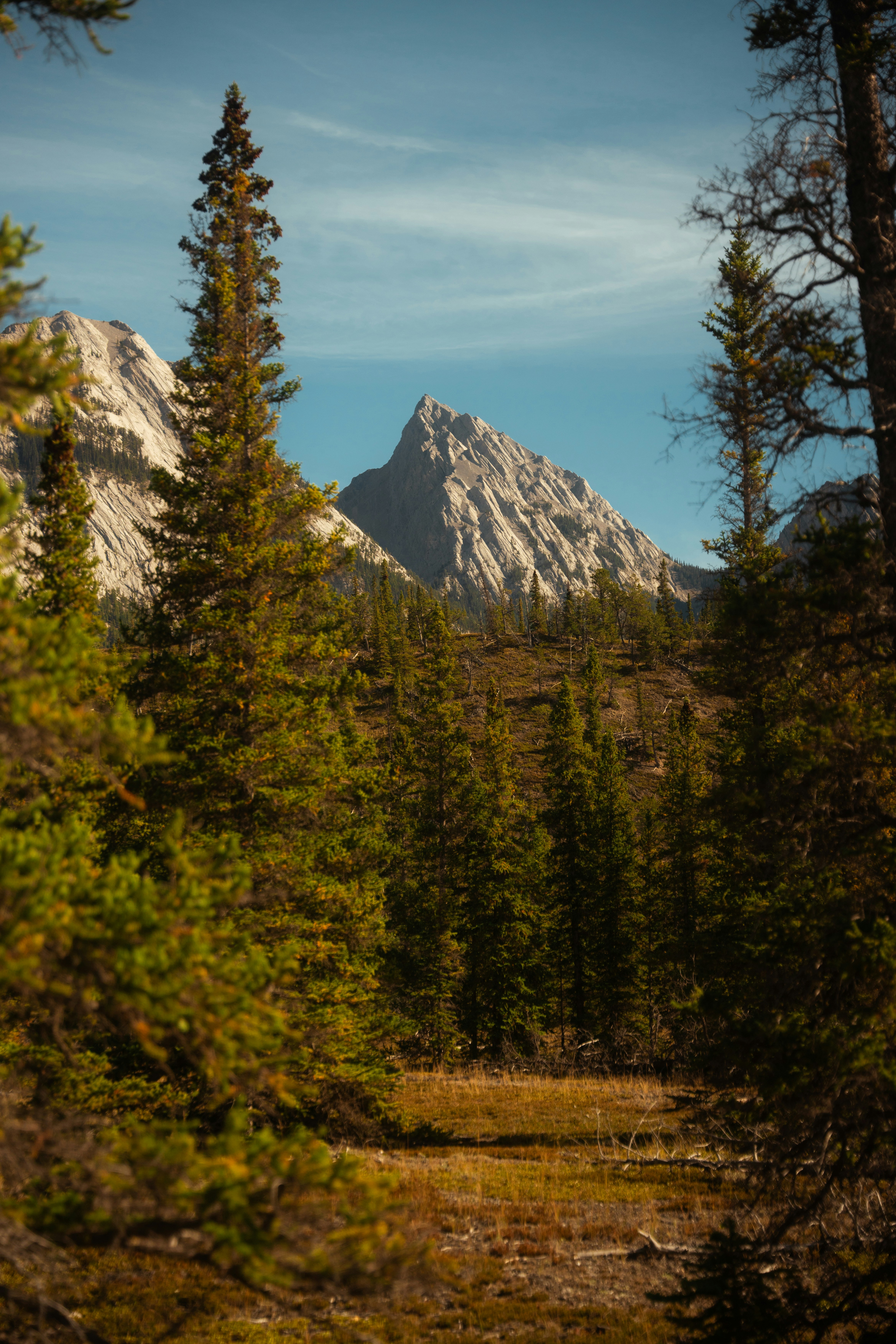 Photo by bylukemiller