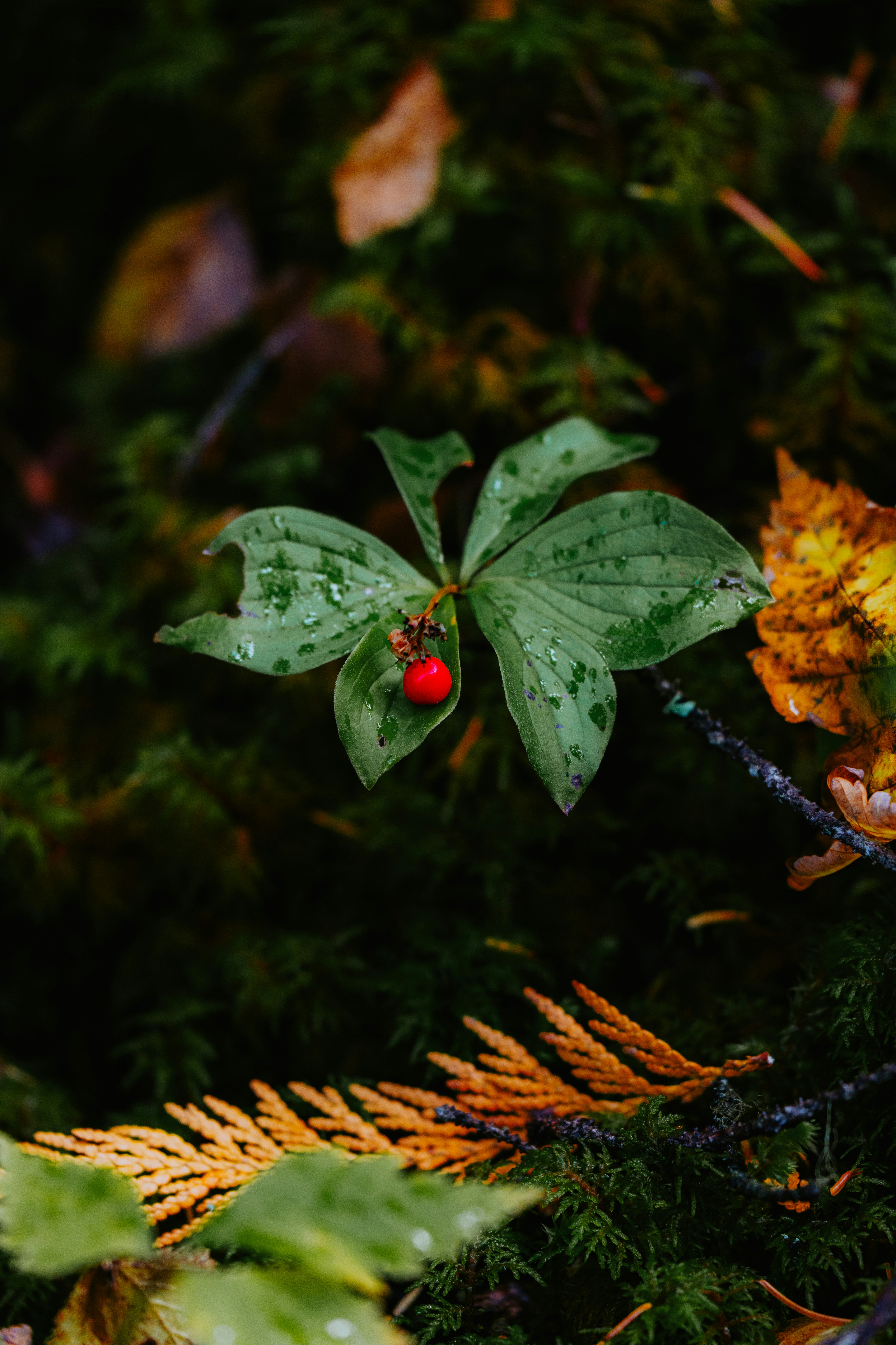 Photo by bylukemiller