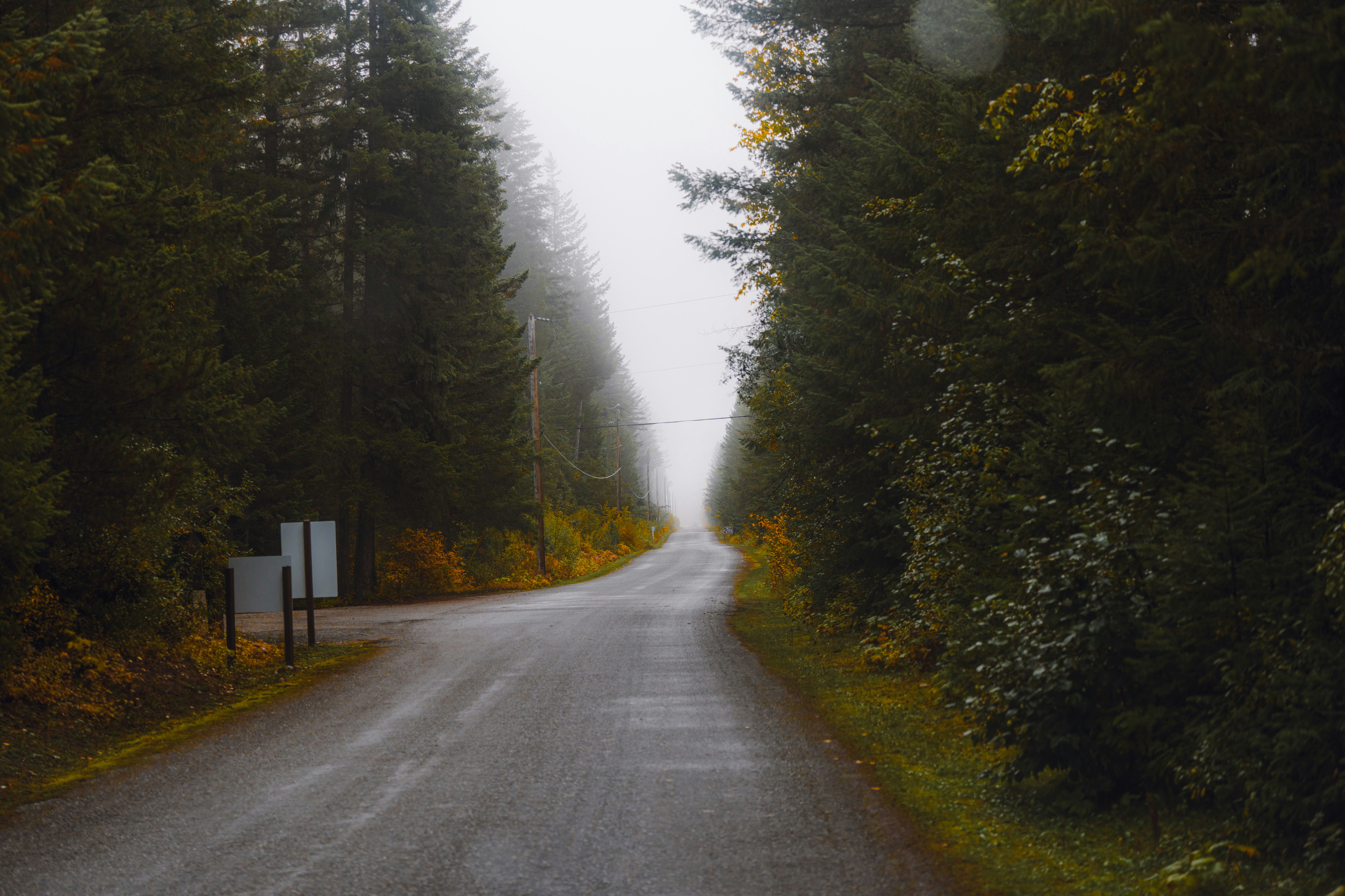 Photo by bylukemiller