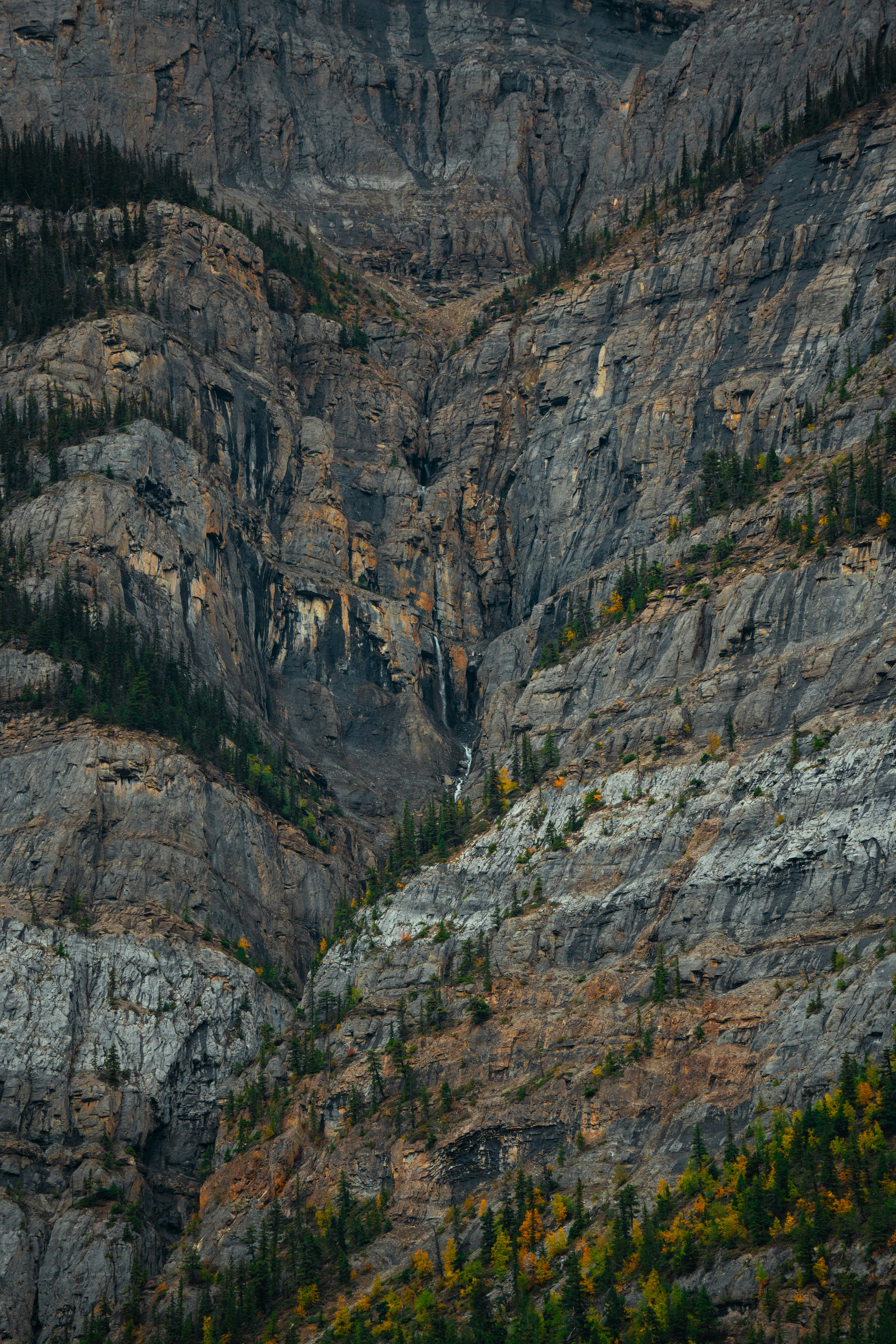 Photo by bylukemiller