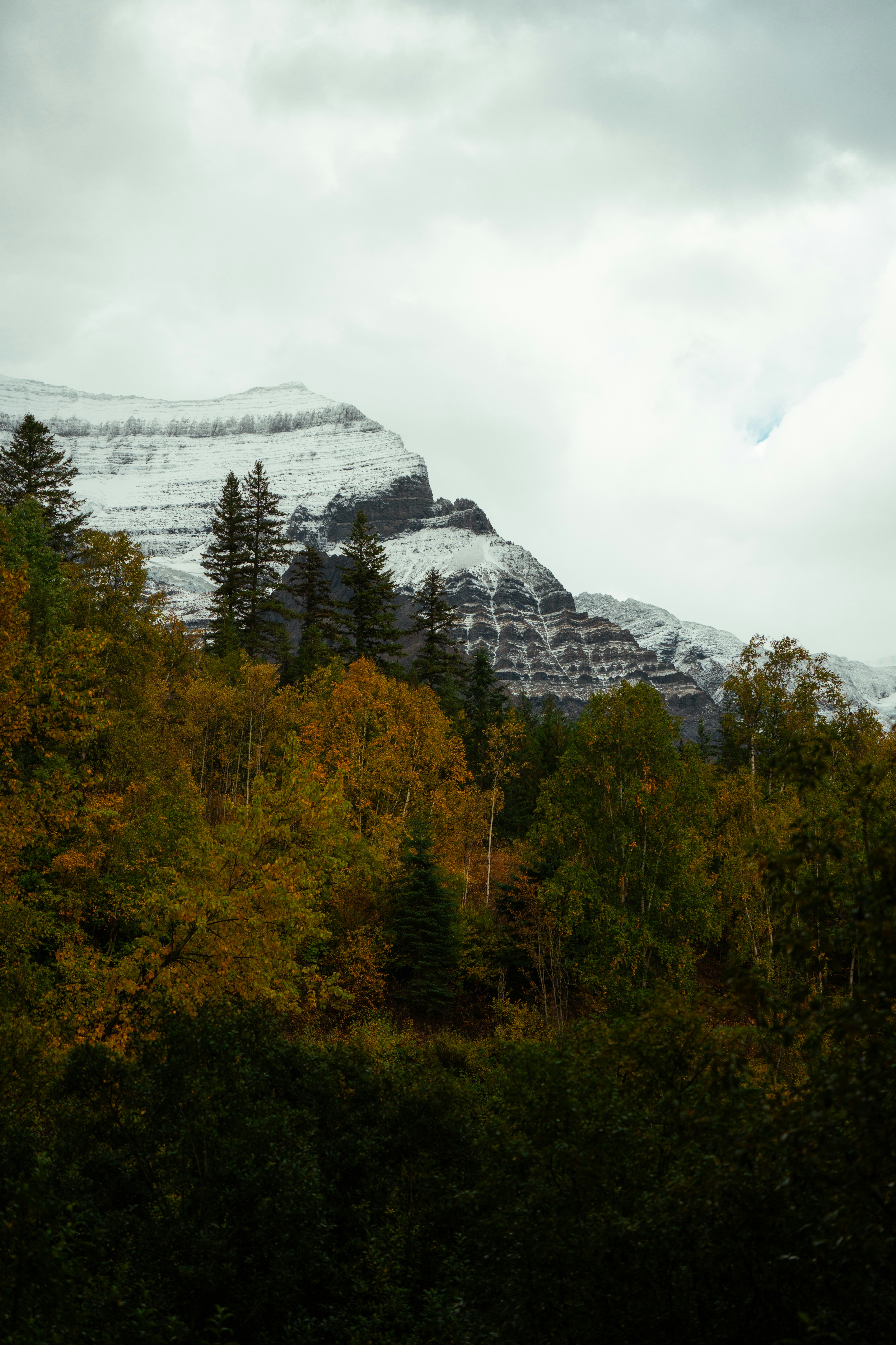 Photo by bylukemiller